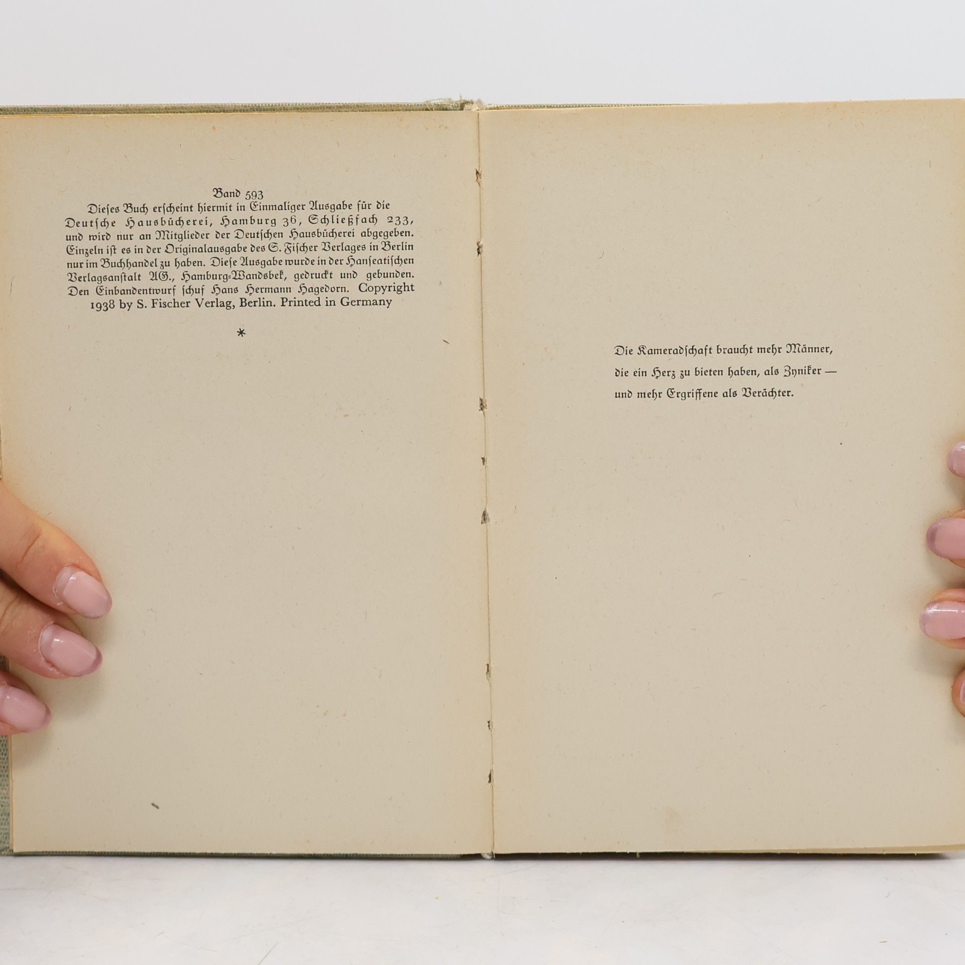 Felix Lützkendorf Märzwind