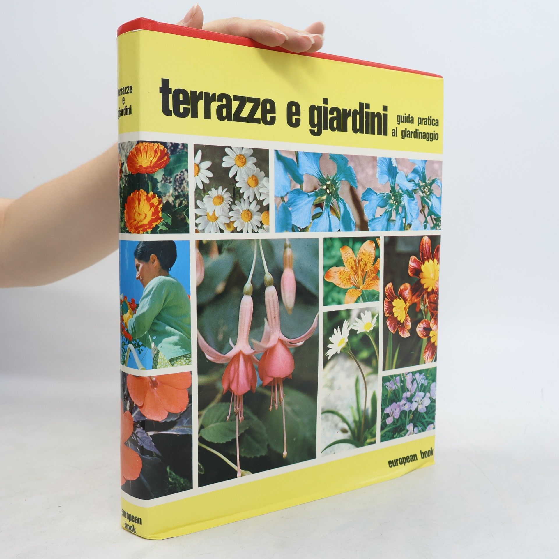 Collectif d'auteurs Terrazze e Giardini