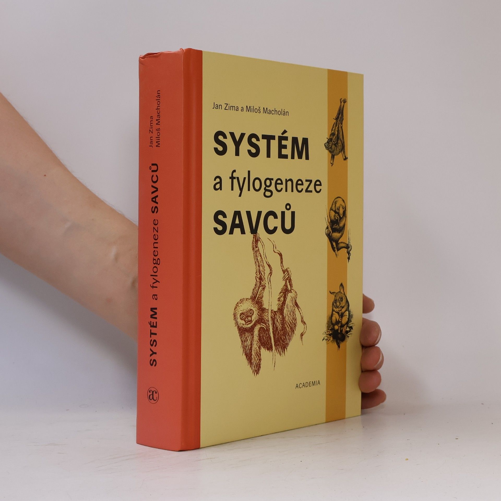 Systém a fylogeneze savců