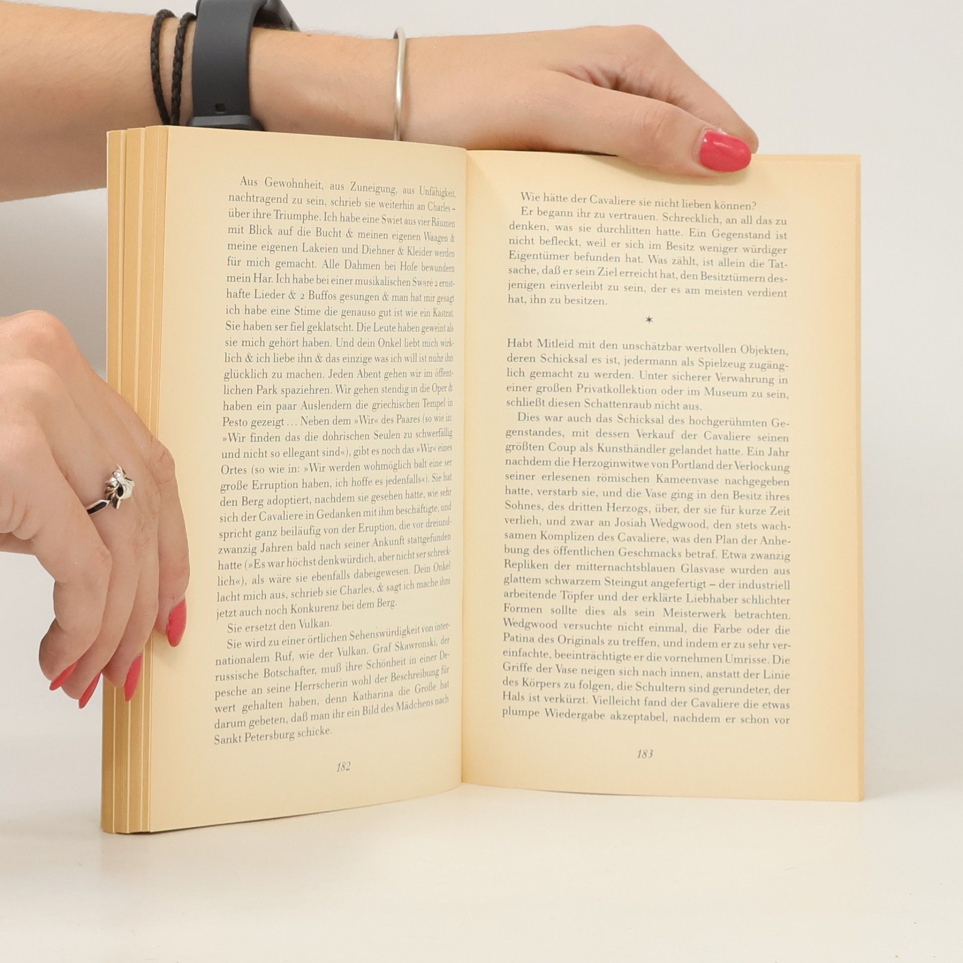 Susan Sontag Der Liebhaber des Vulkans