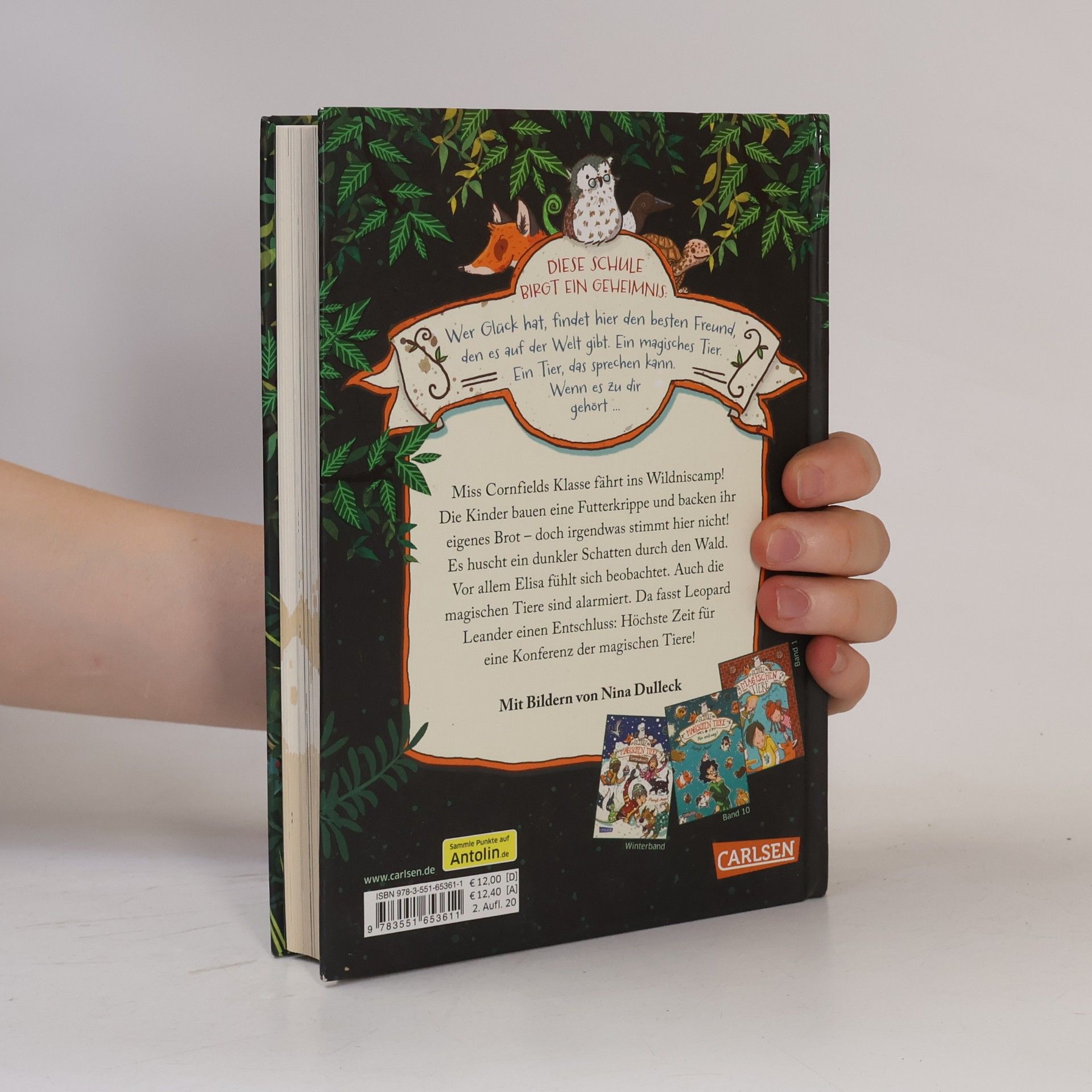 Margit Auer Die Schule der magischen Tiere. Wilder, wilder Wald!