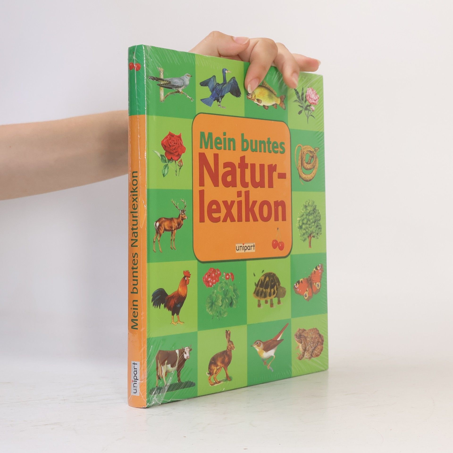 Laura Bour Mein buntes Naturlexikon