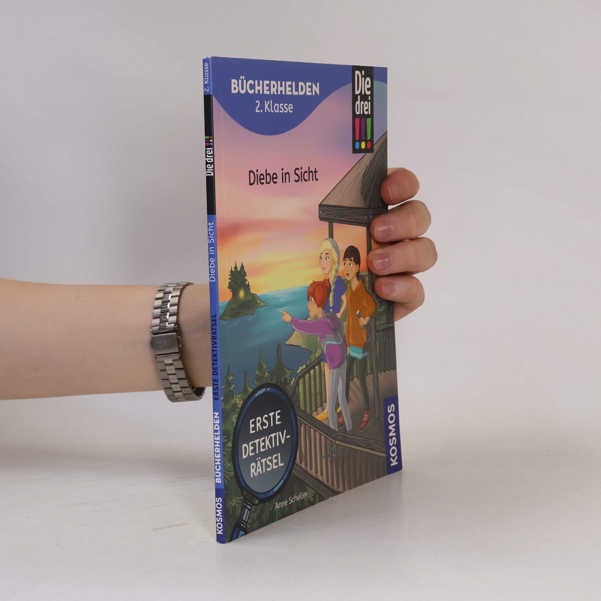 Die drei !!!, Bücherhelden 2. Klasse, Diebe in Sicht