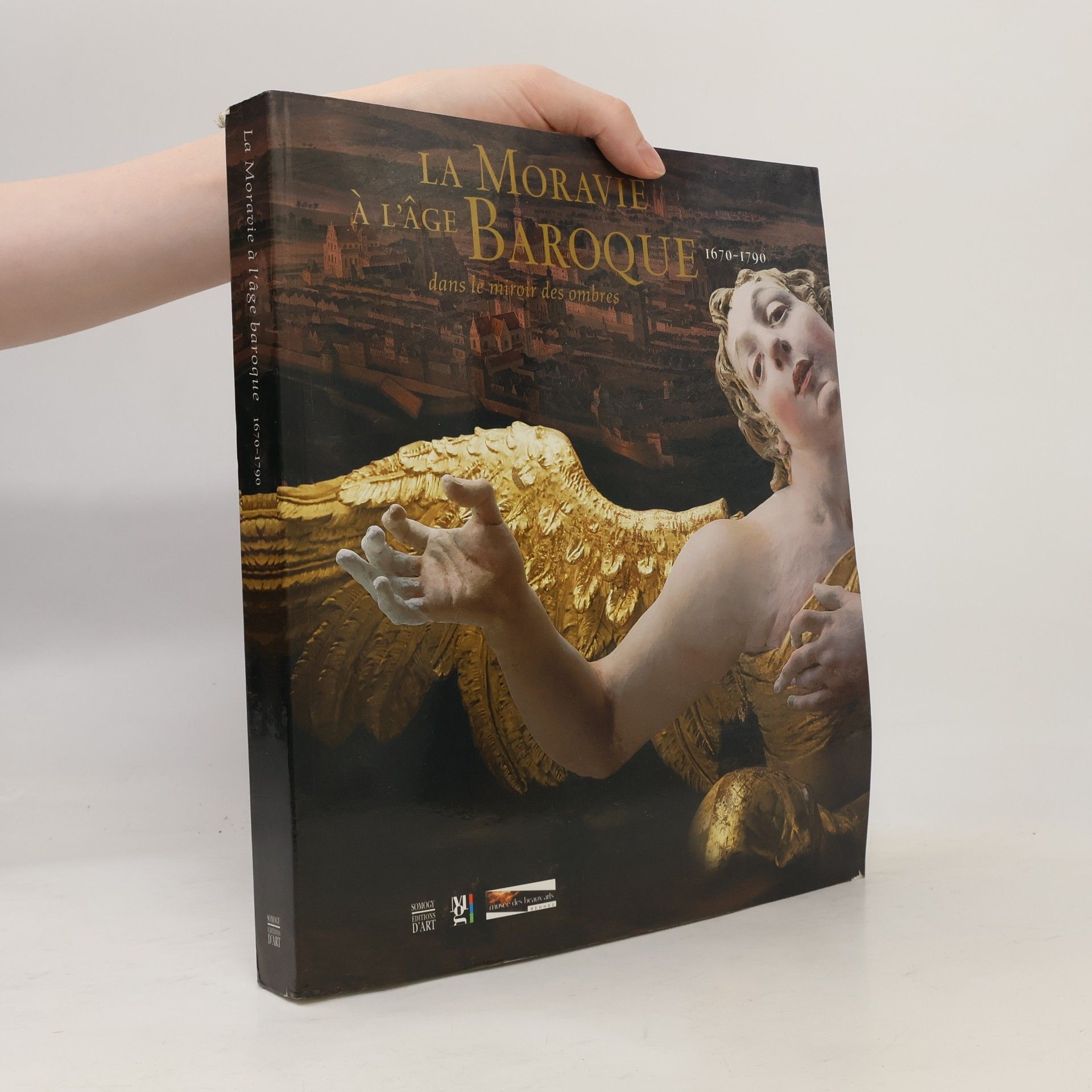Autorenkollektiv La Moravie à l'âge baroque 1670-1790. Dans le miroir des ombres