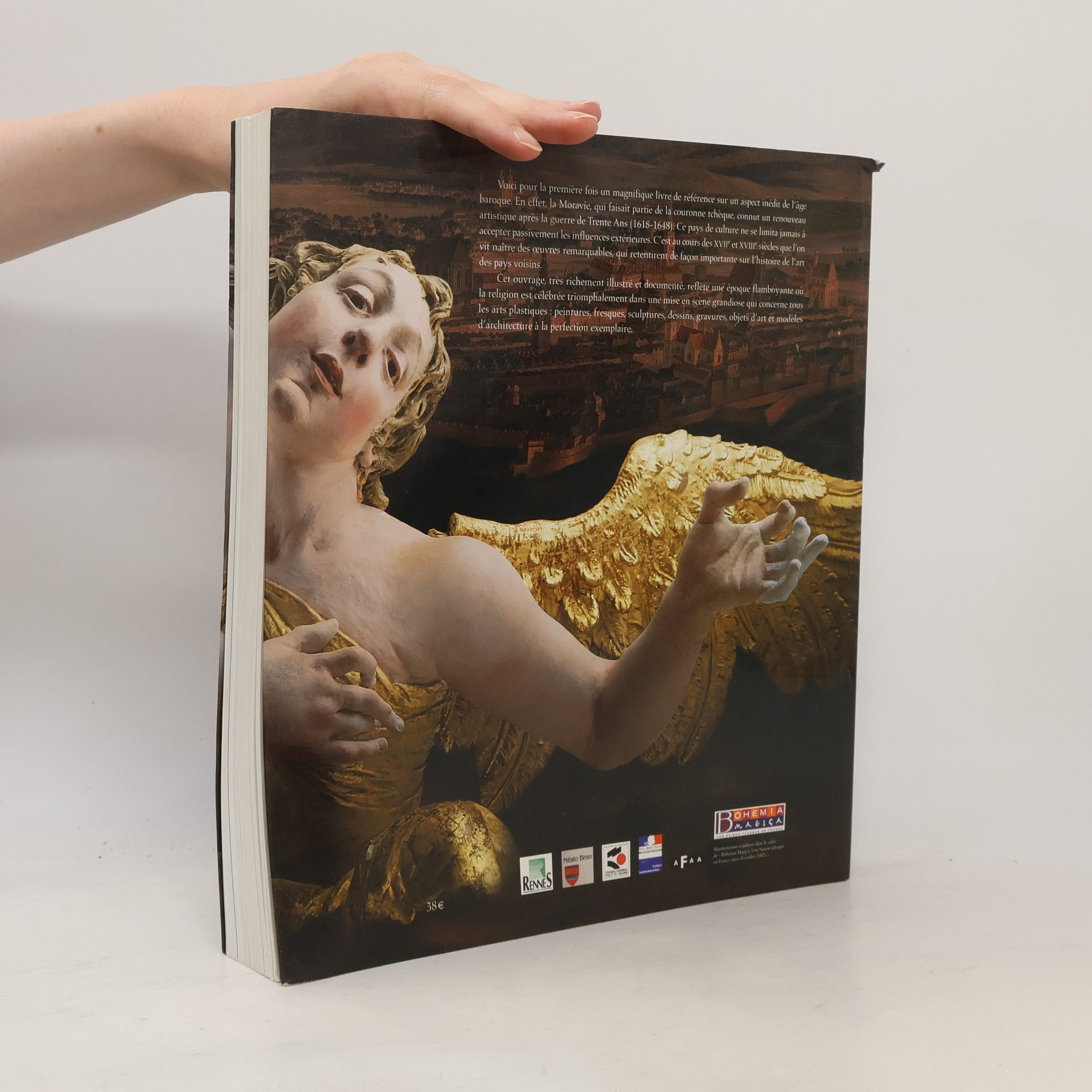 Collectif d'auteurs La Moravie à l'âge baroque 1670-1790. Dans le miroir des ombres