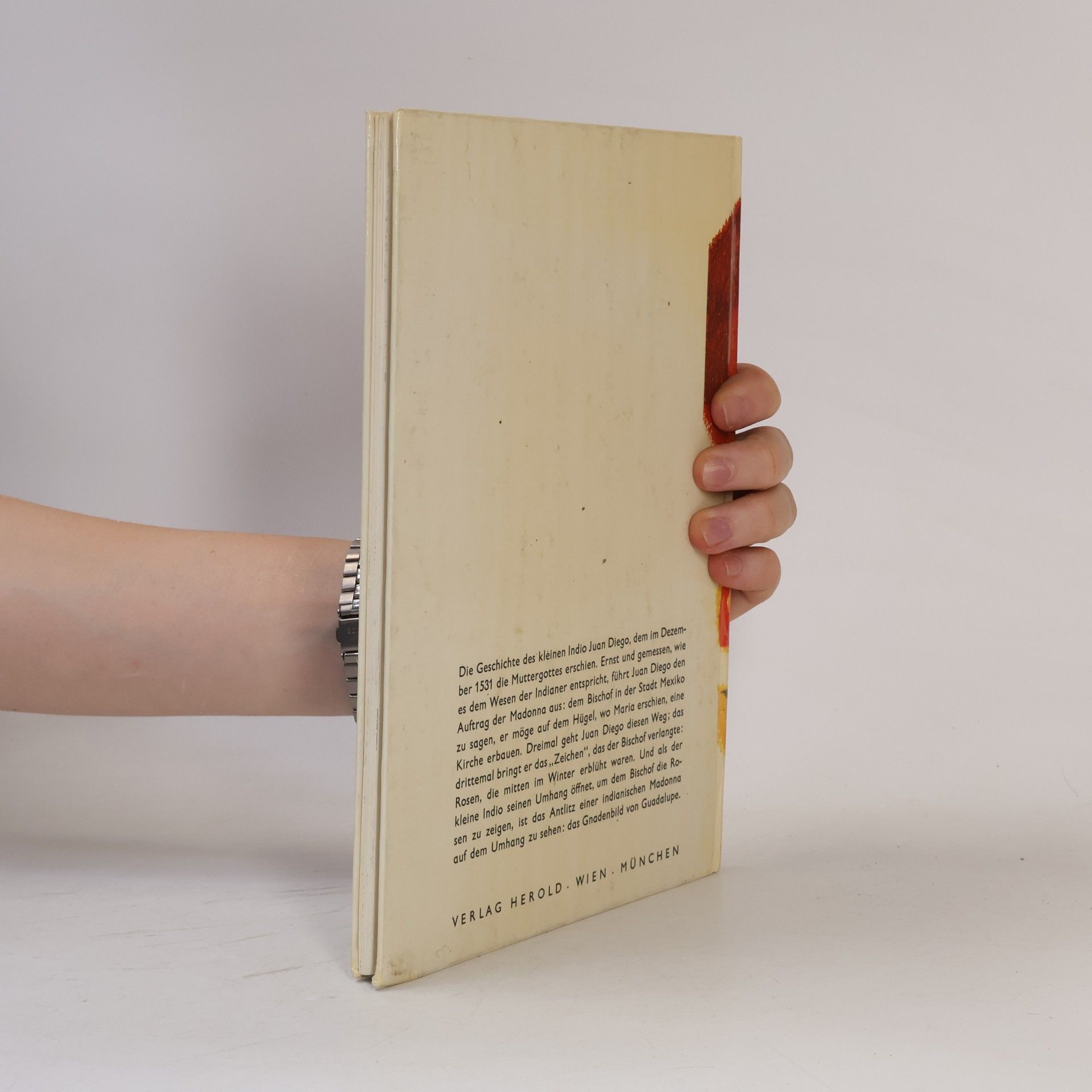Alma Holgersen Der kleine Indigo und die Muttergottes