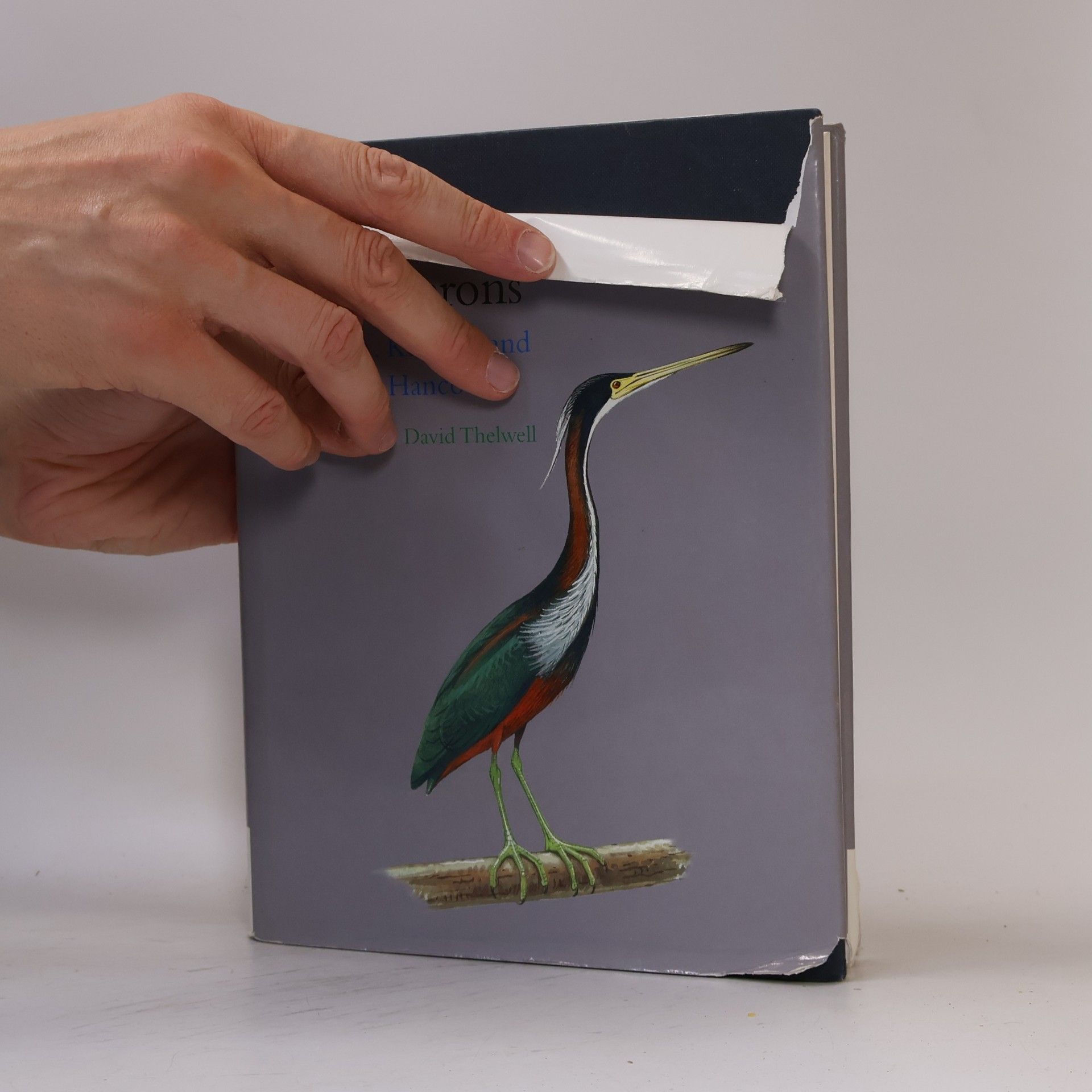 James A. Kushlan Bird Families of the World: The Herons