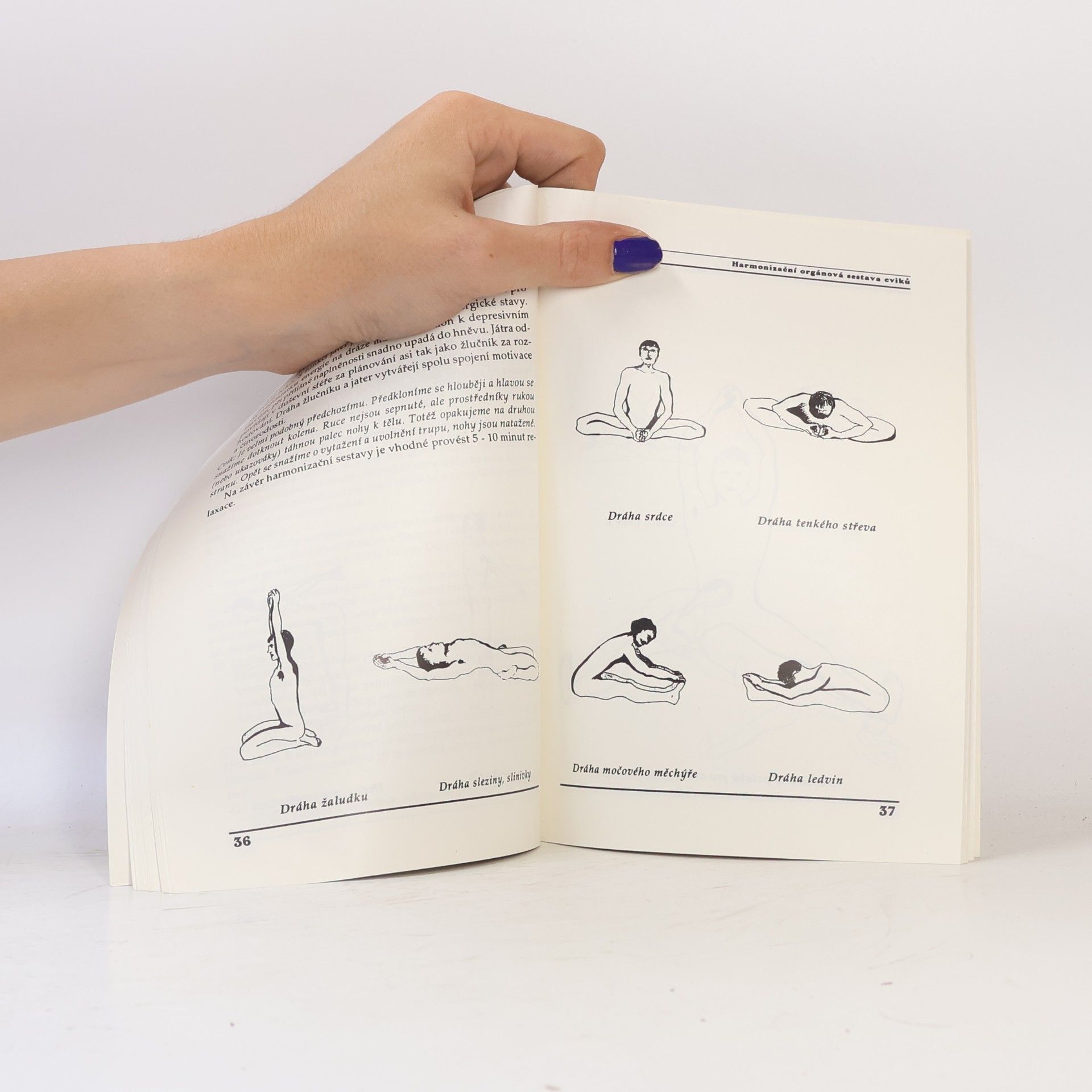 Ludvík Eger Čínská zdravotní cvičení: Čchi-kung = Qi Gong