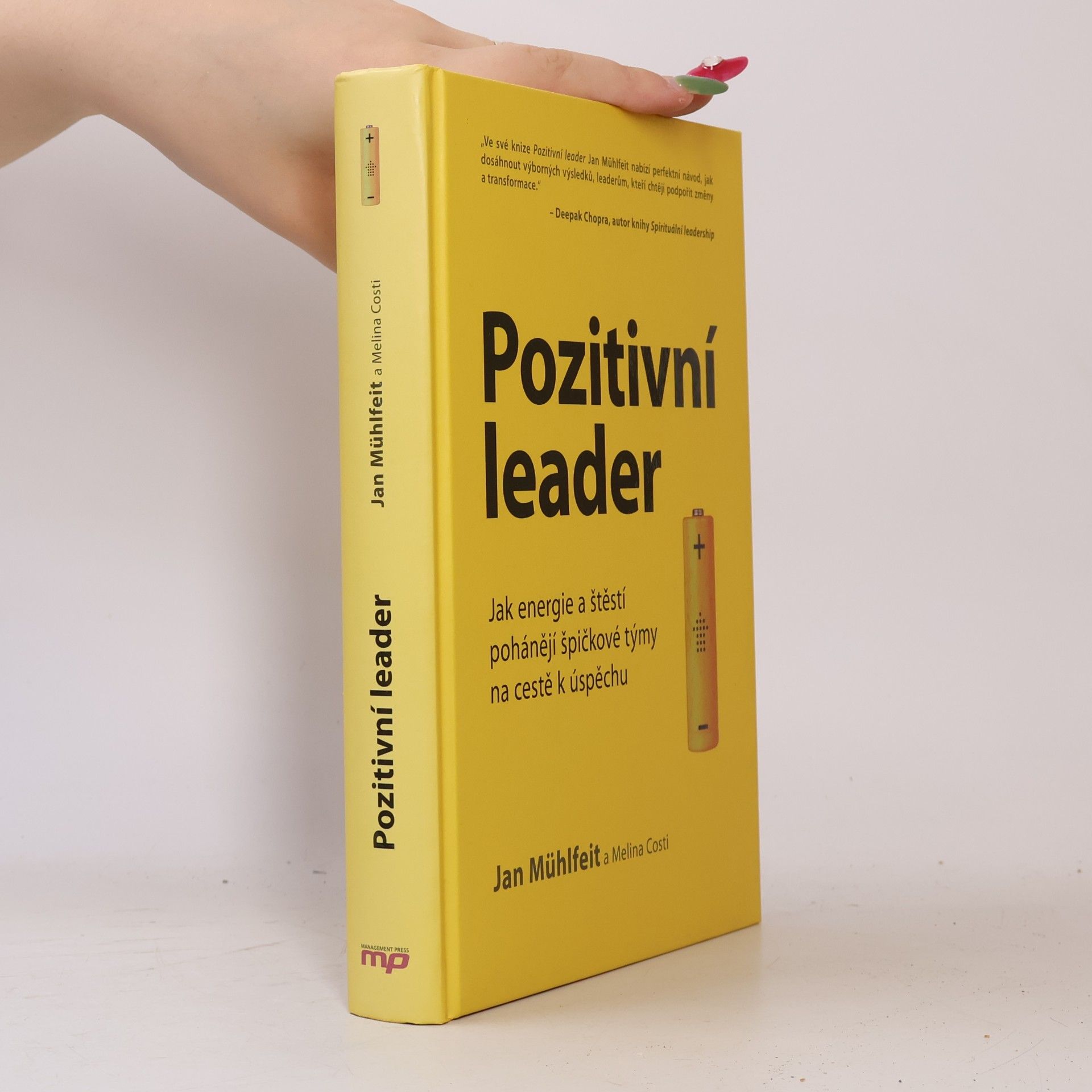Jan Mühlfeit Pozitivní leader