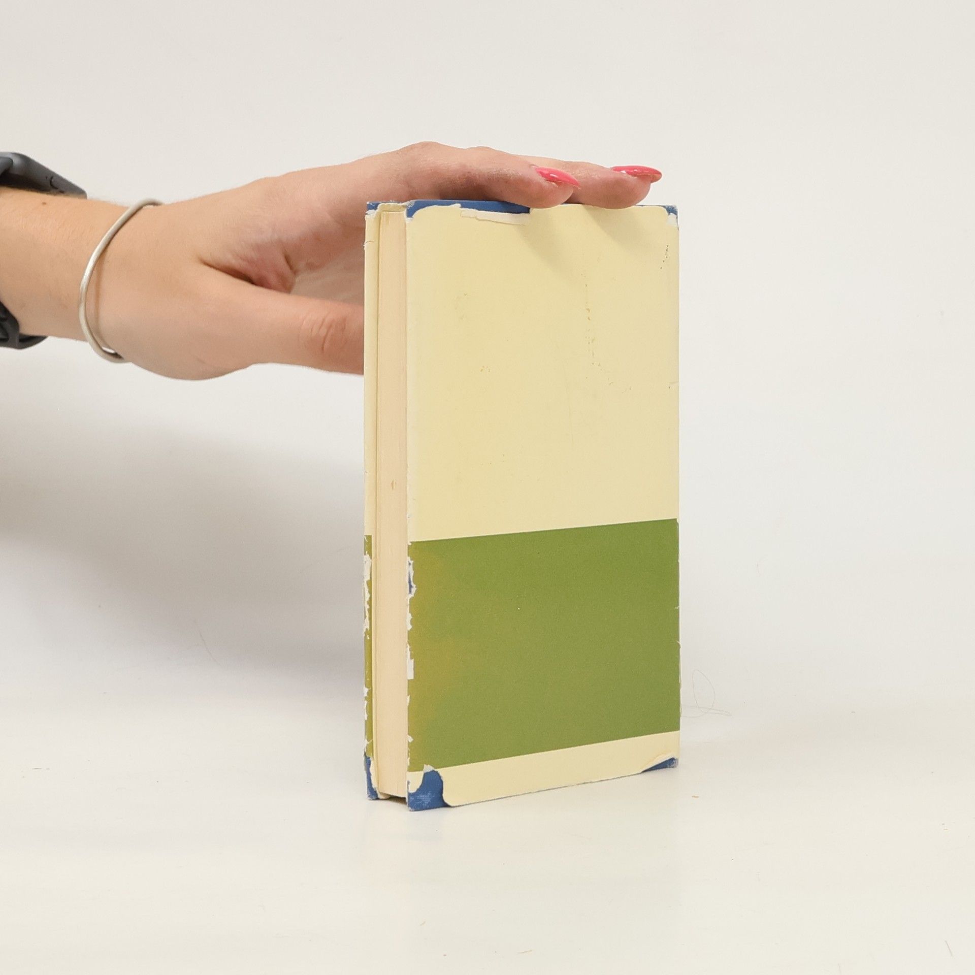 Božena Němcová Die Grossmutter