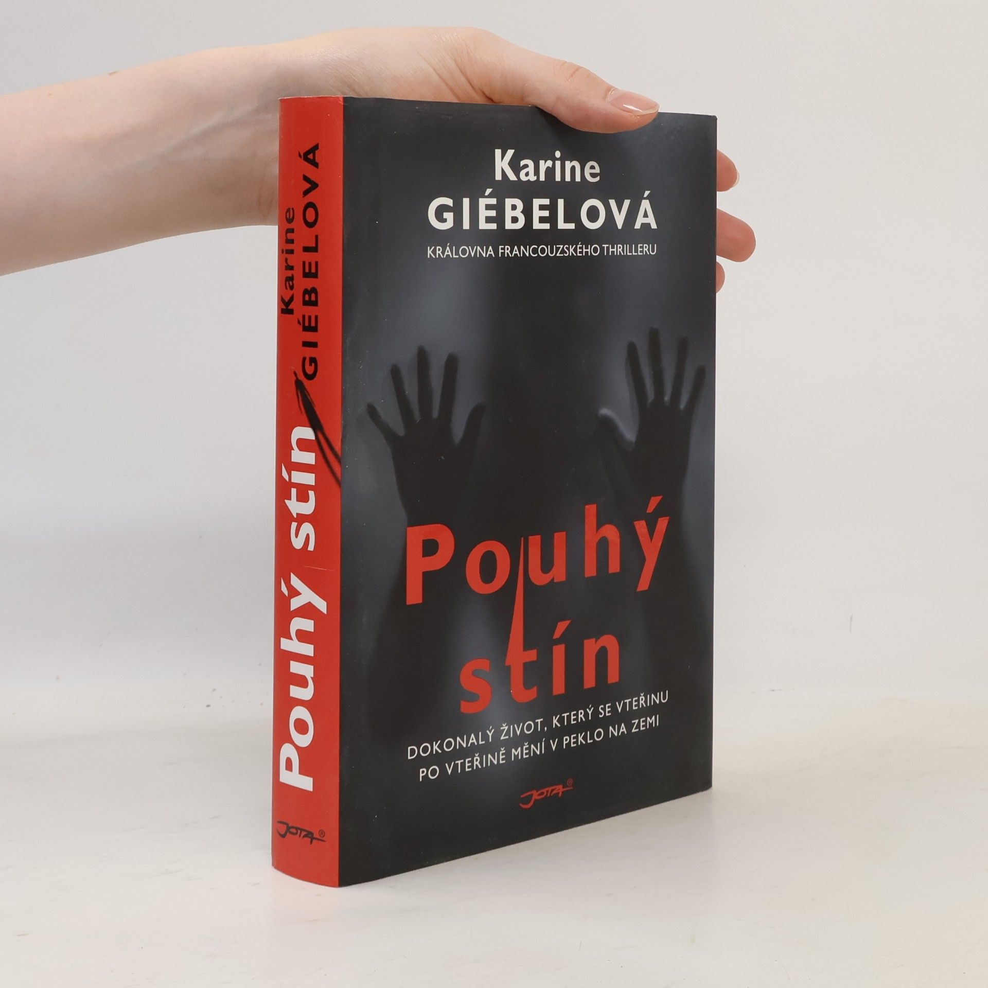 Karine Giebel Pouhý stín