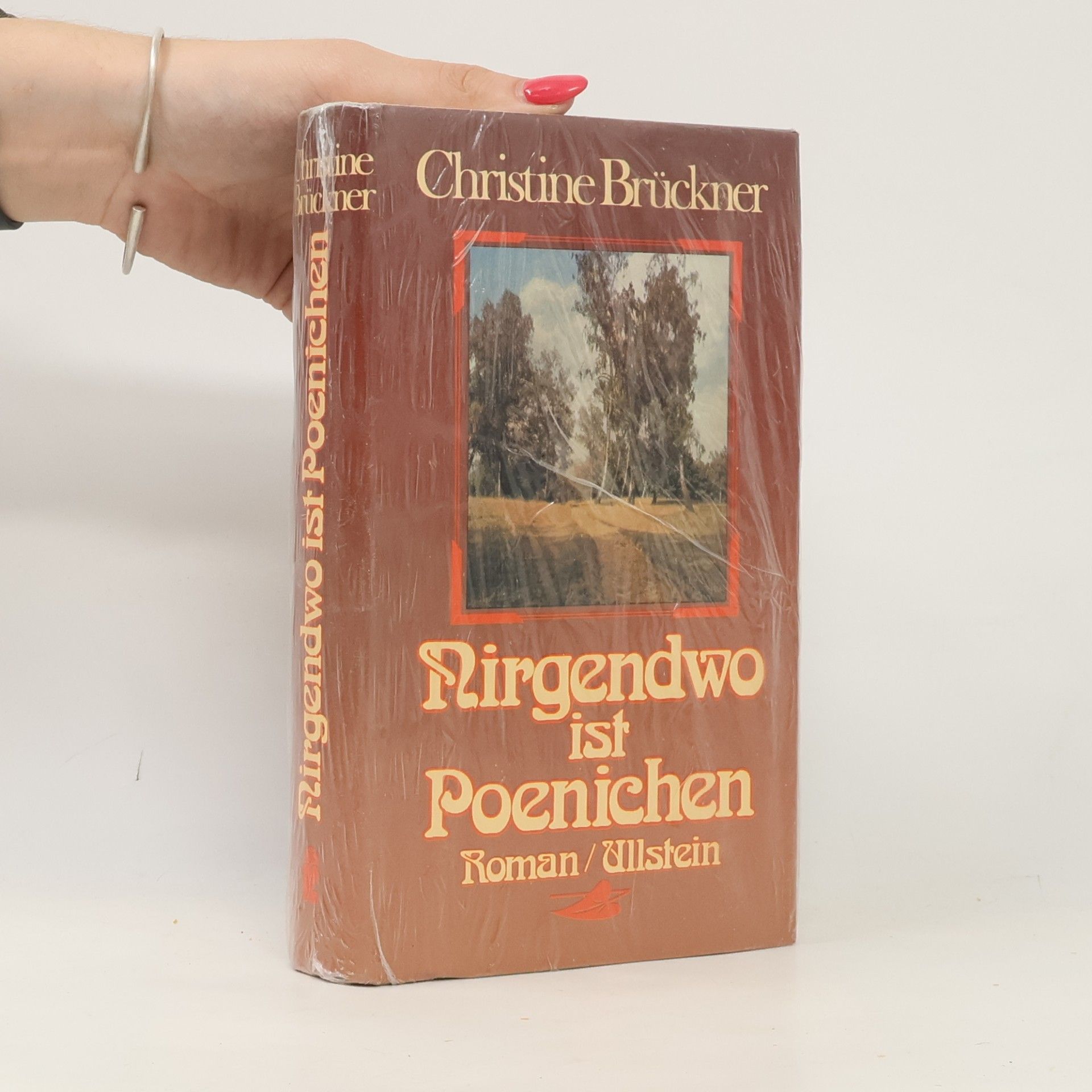 Christine Brückner Nirgendwo ist Poenichen
