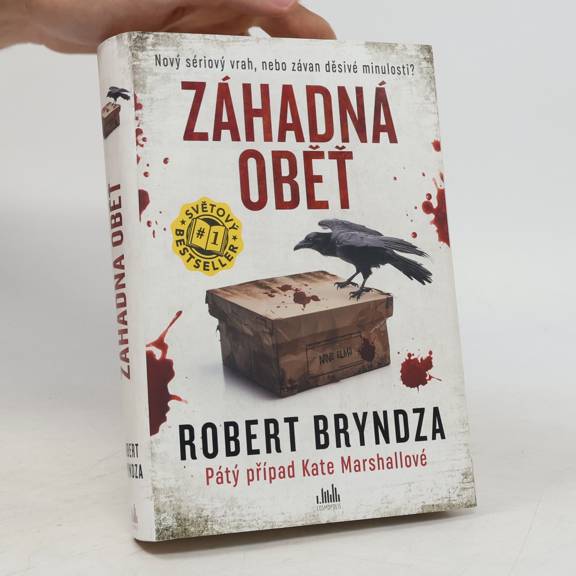 Robert Bryndza Záhadná oběť