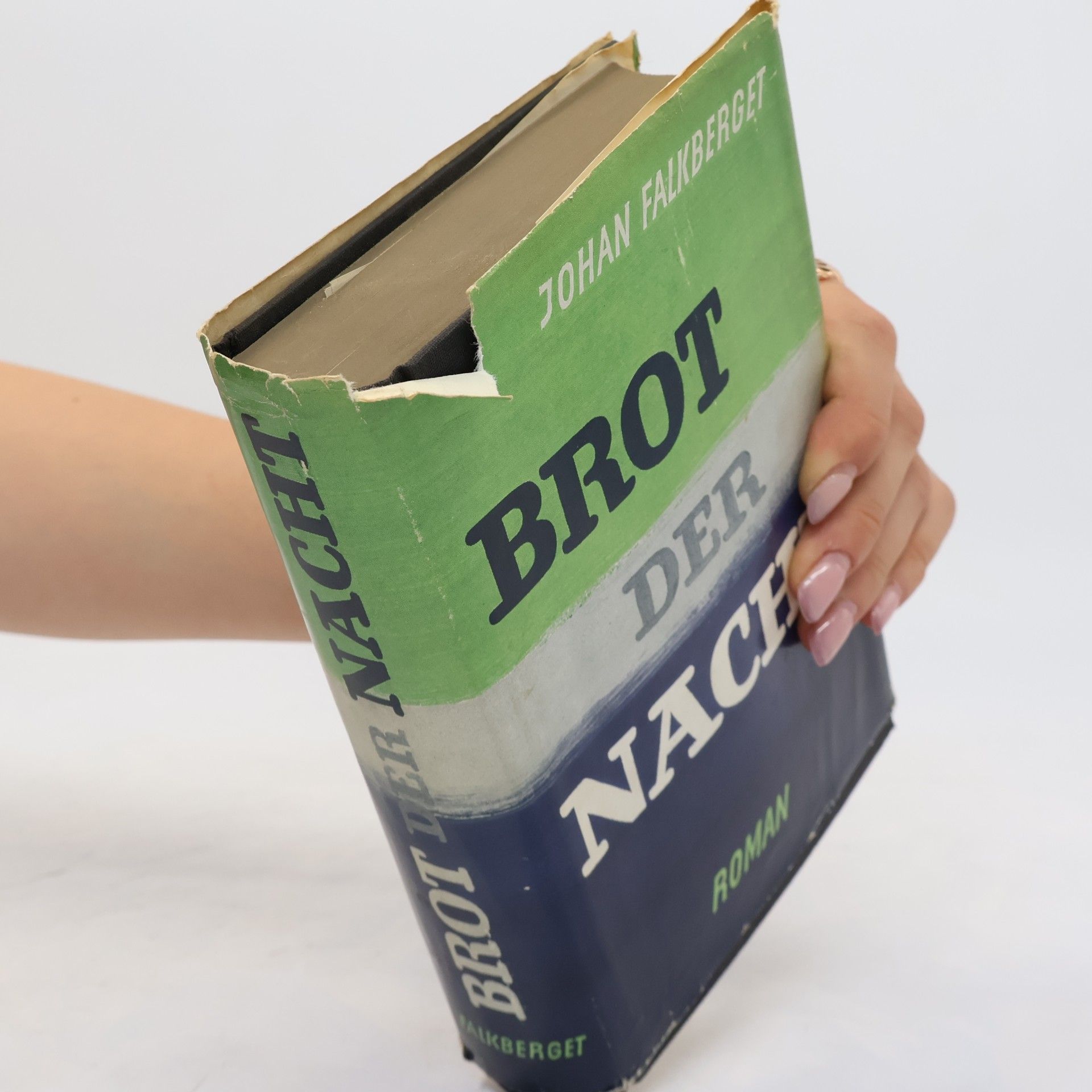 Johan Falkberget Brot der Nacht
