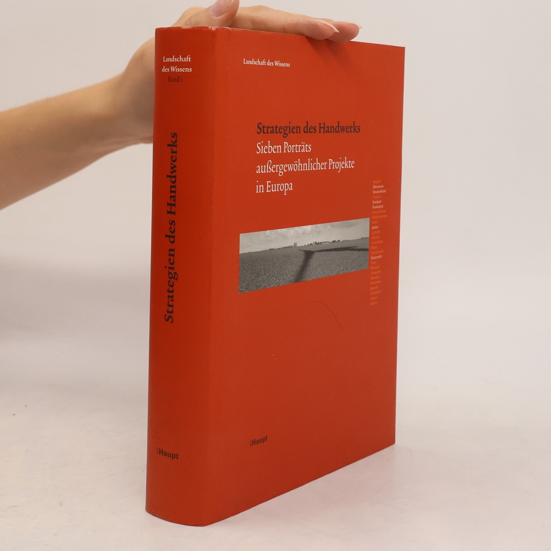 Auteurscollectief Strategien des Handwerks