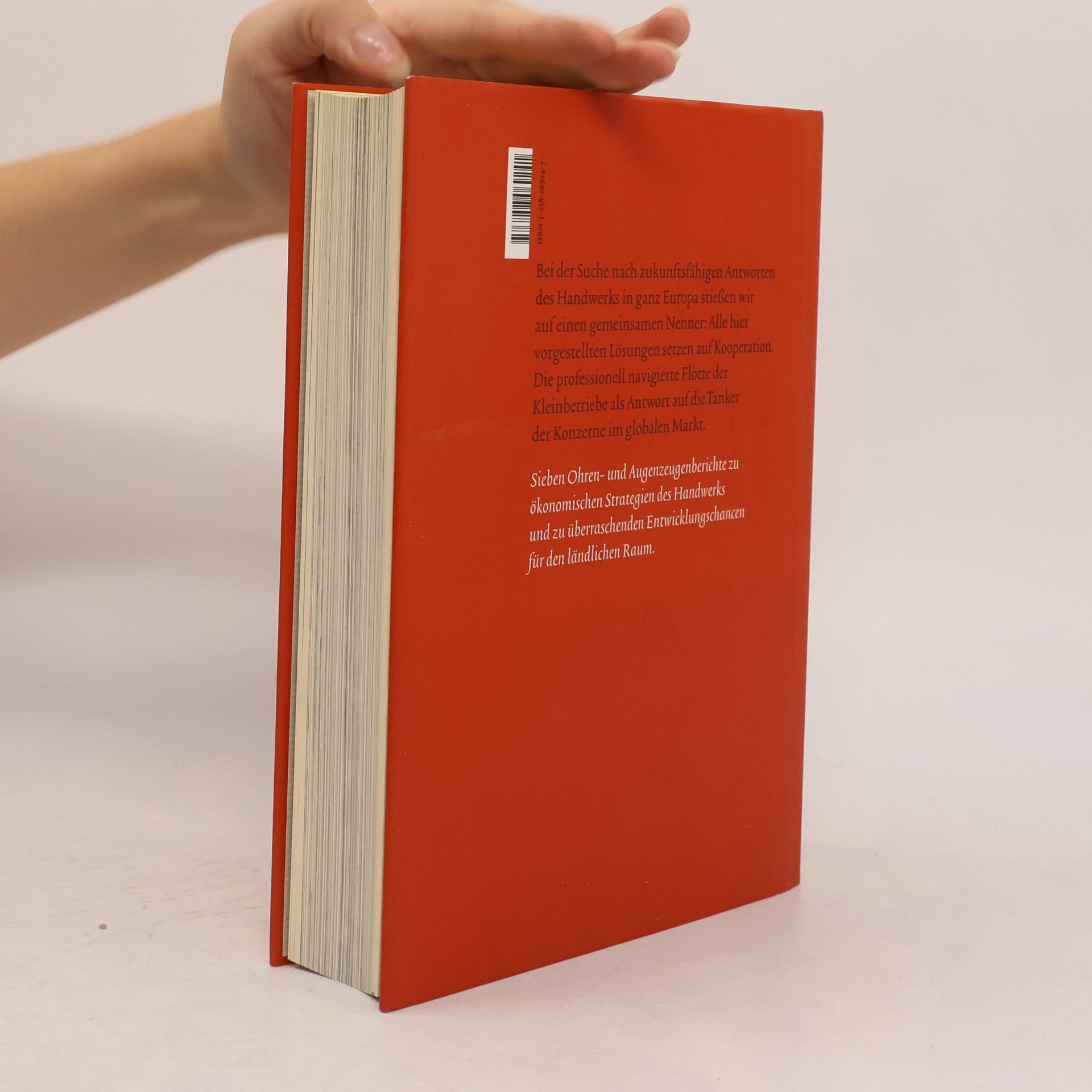 Auteurscollectief Strategien des Handwerks