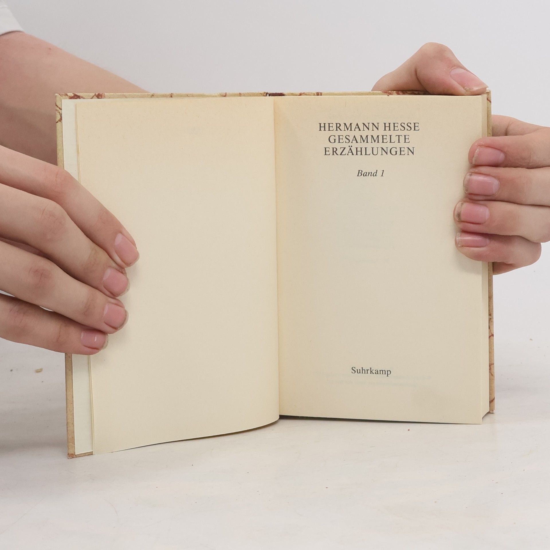 Hermann Hesse Gesammelte Erzählungen 1