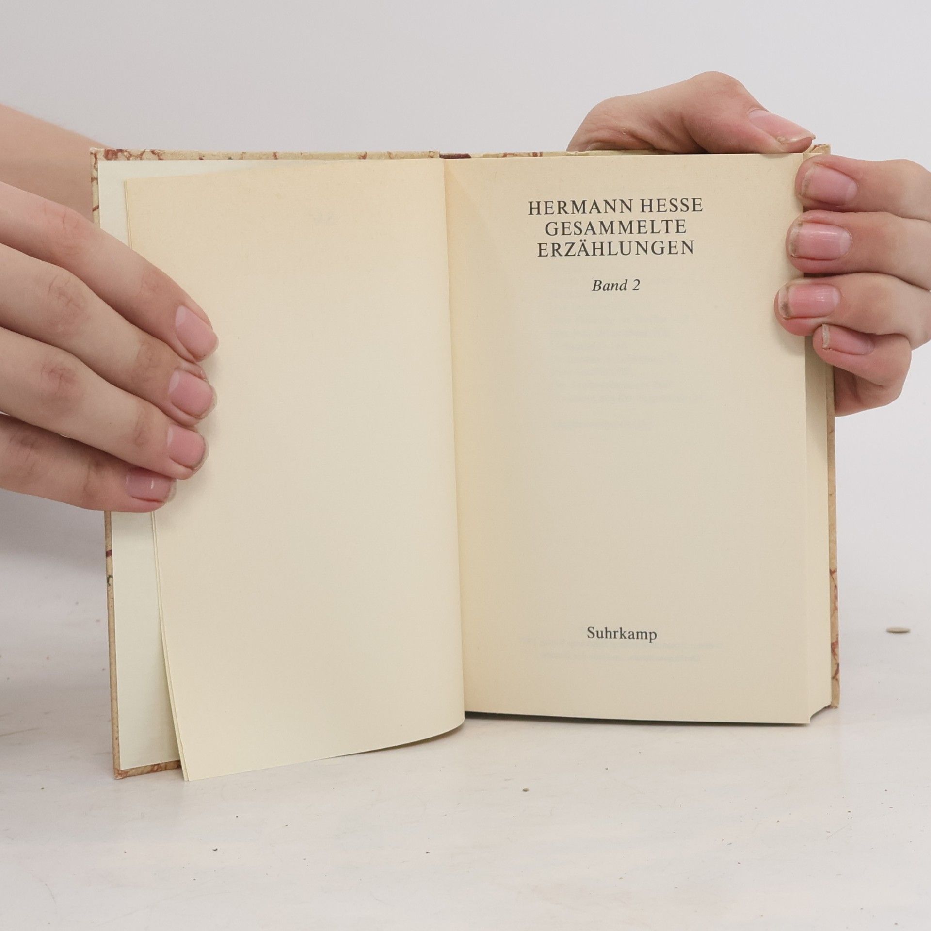 Hermann Hesse Gesammelte Erzählungen 2