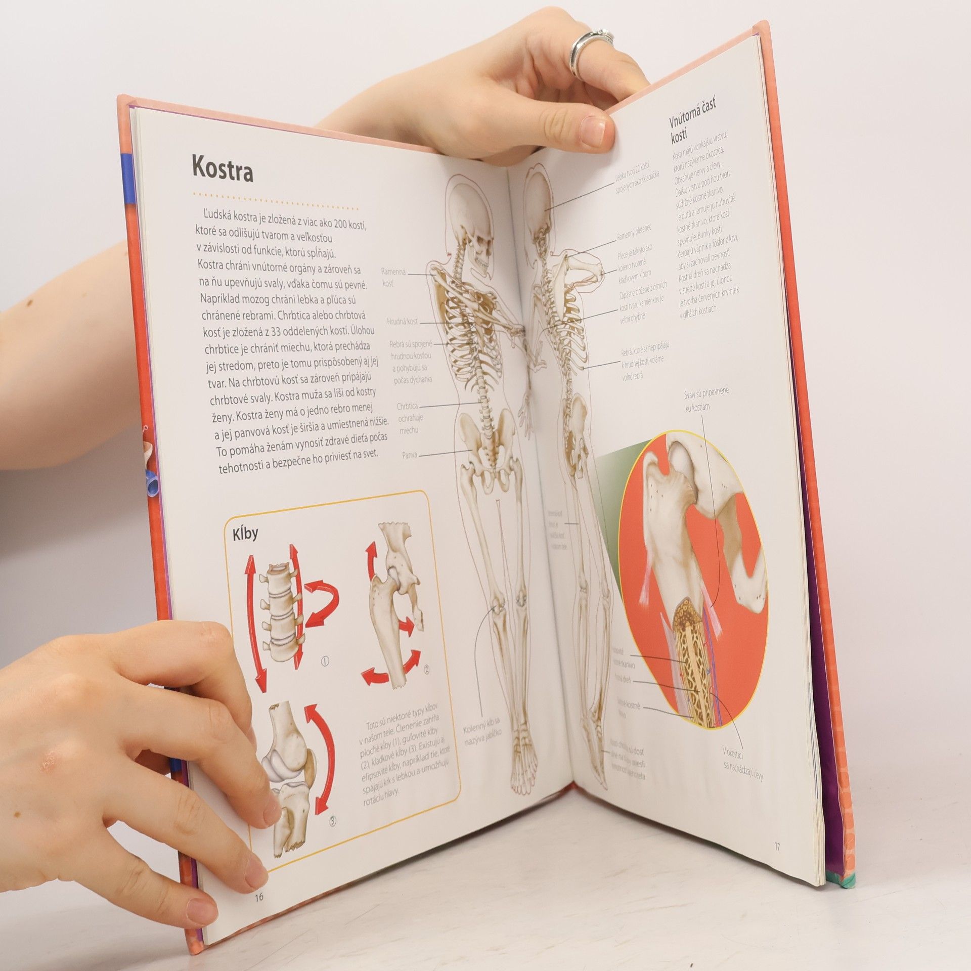 Autores varios Ako to funguje: Ľudské telo