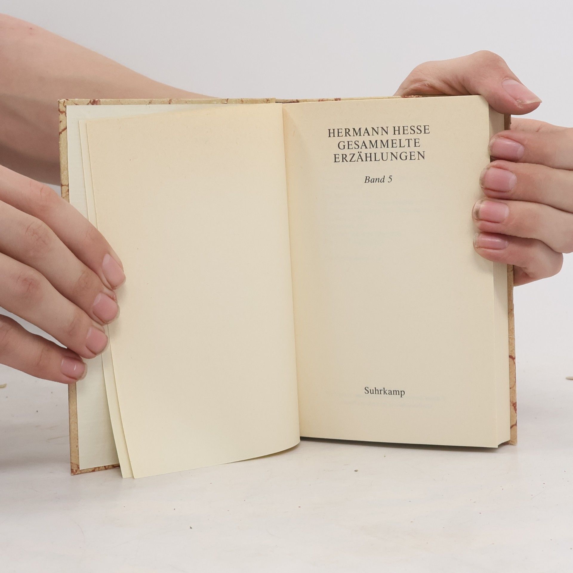Hermann Hesse Gesammelte Erzählungen 5