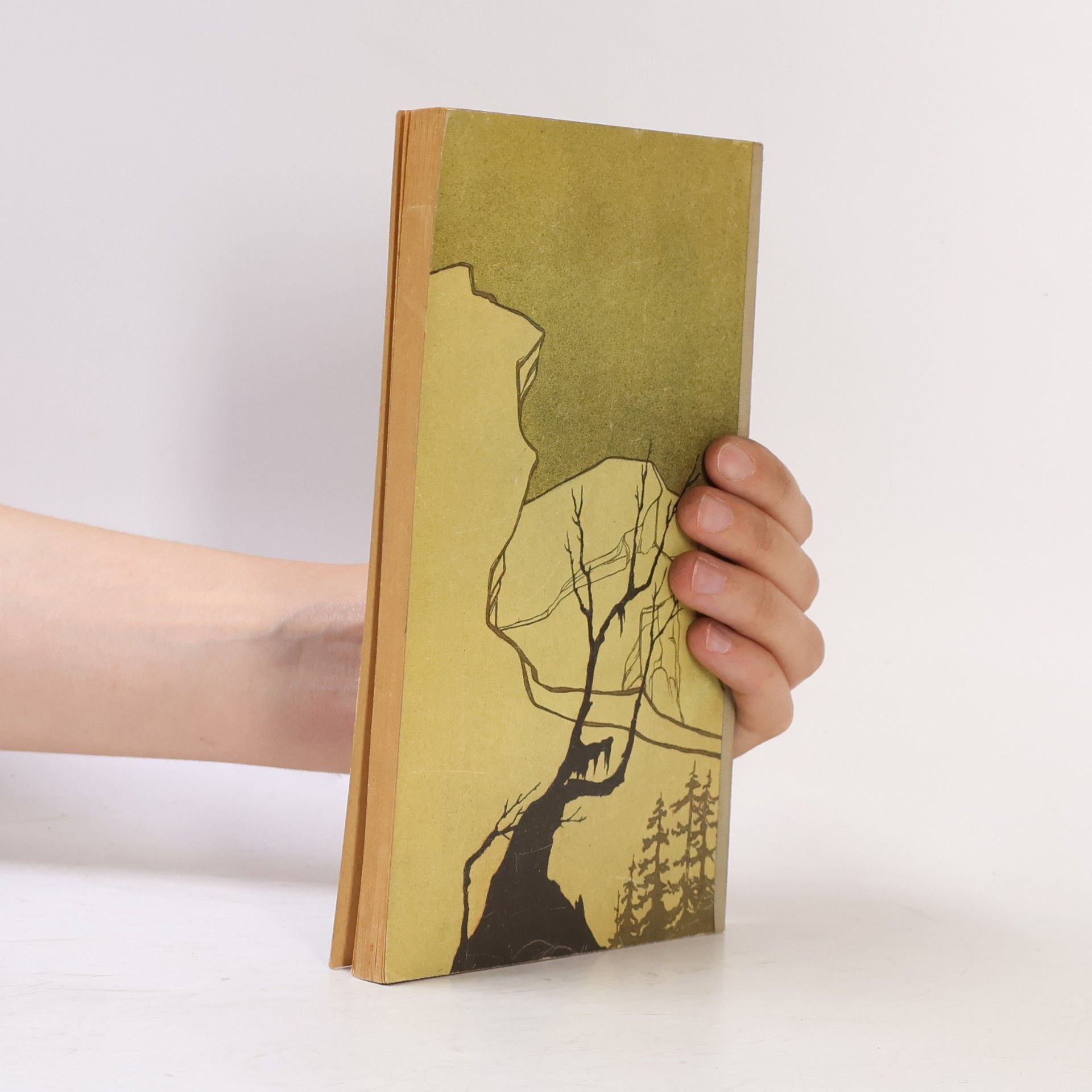 Robert Musil Drei Frauen
