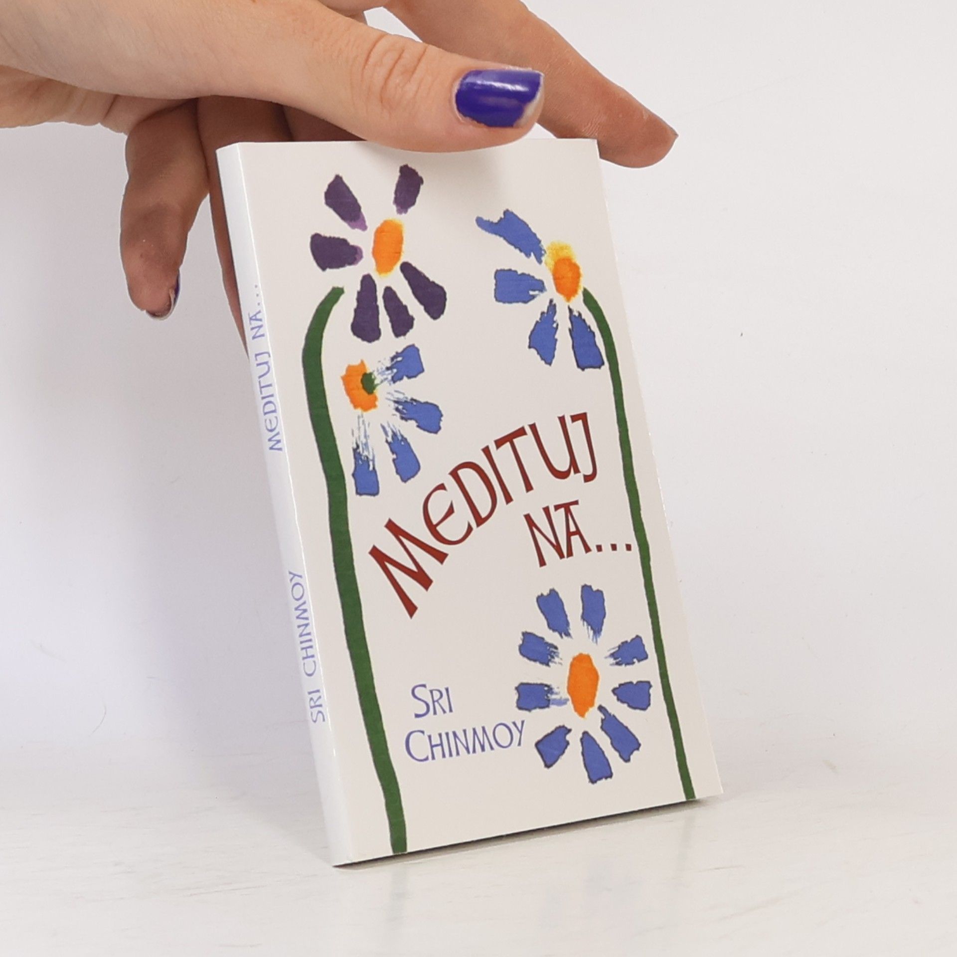 Sri Chinmoy Medituj na...
