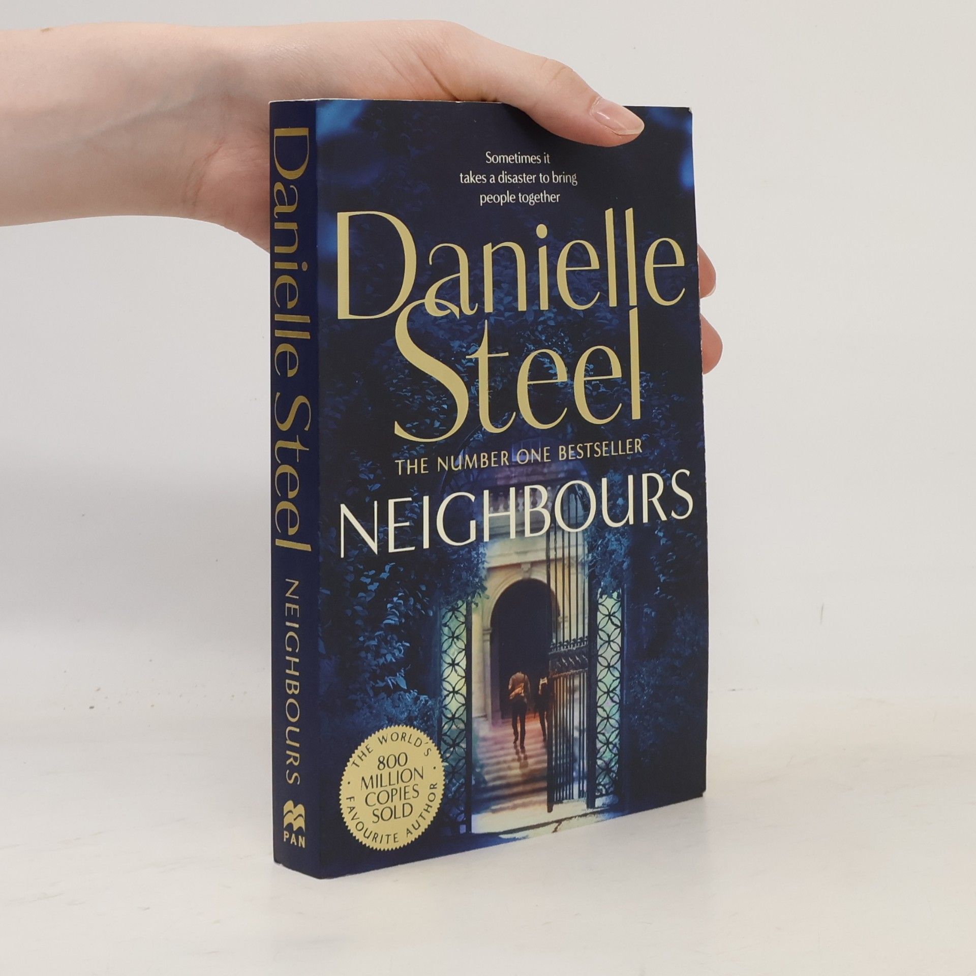 Danielle Steel Neighbours