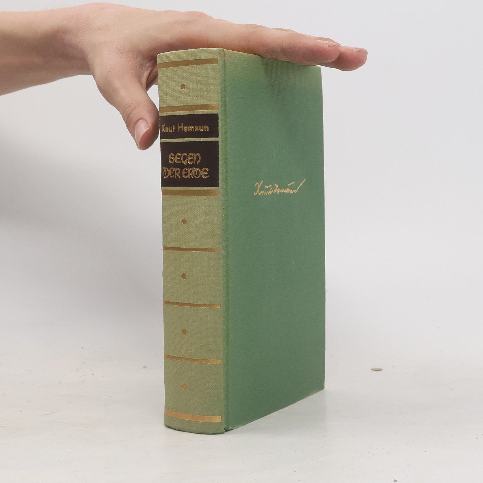 Knut Hamsun Segen der Erde