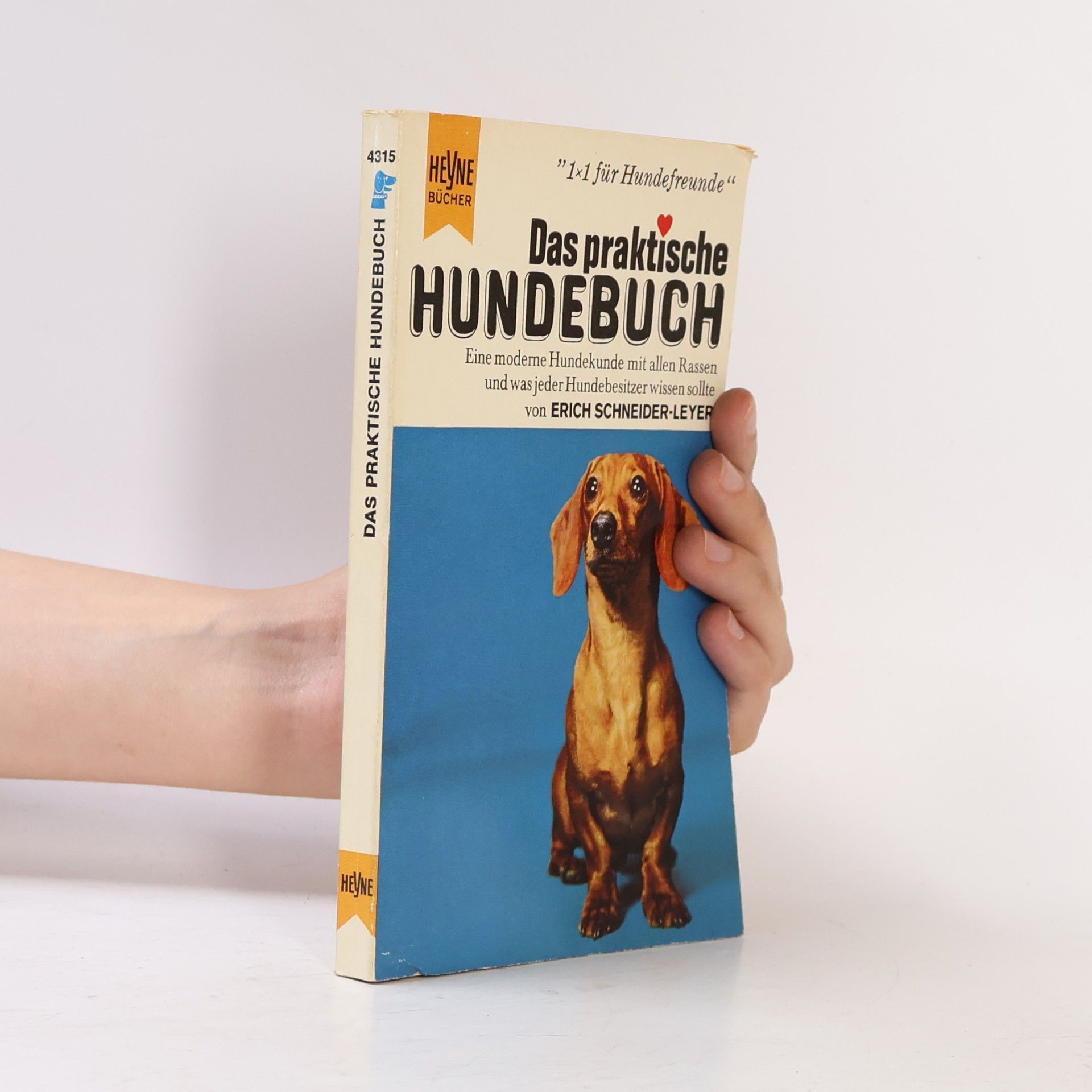Claudia Persson Das praktische Hundebuch