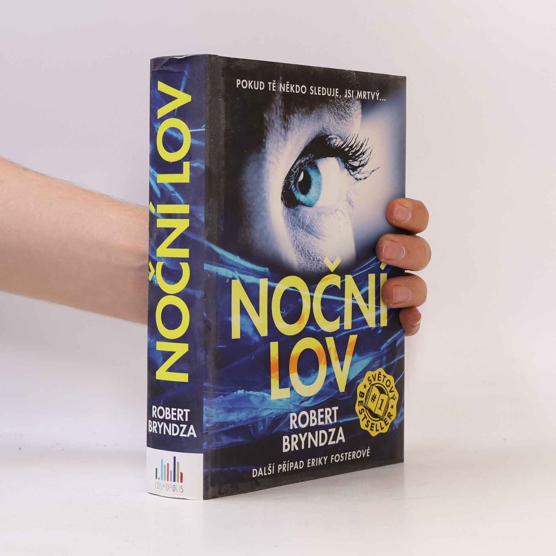 Robert Bryndza Noční lov