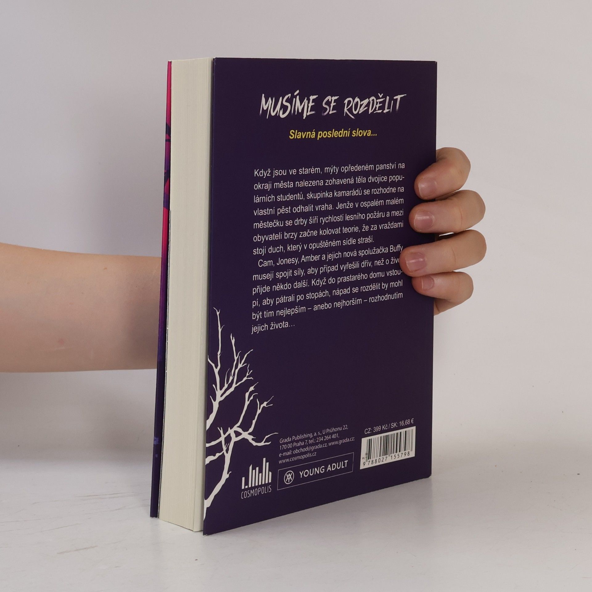 Bill Wood Musíme se rozdělit