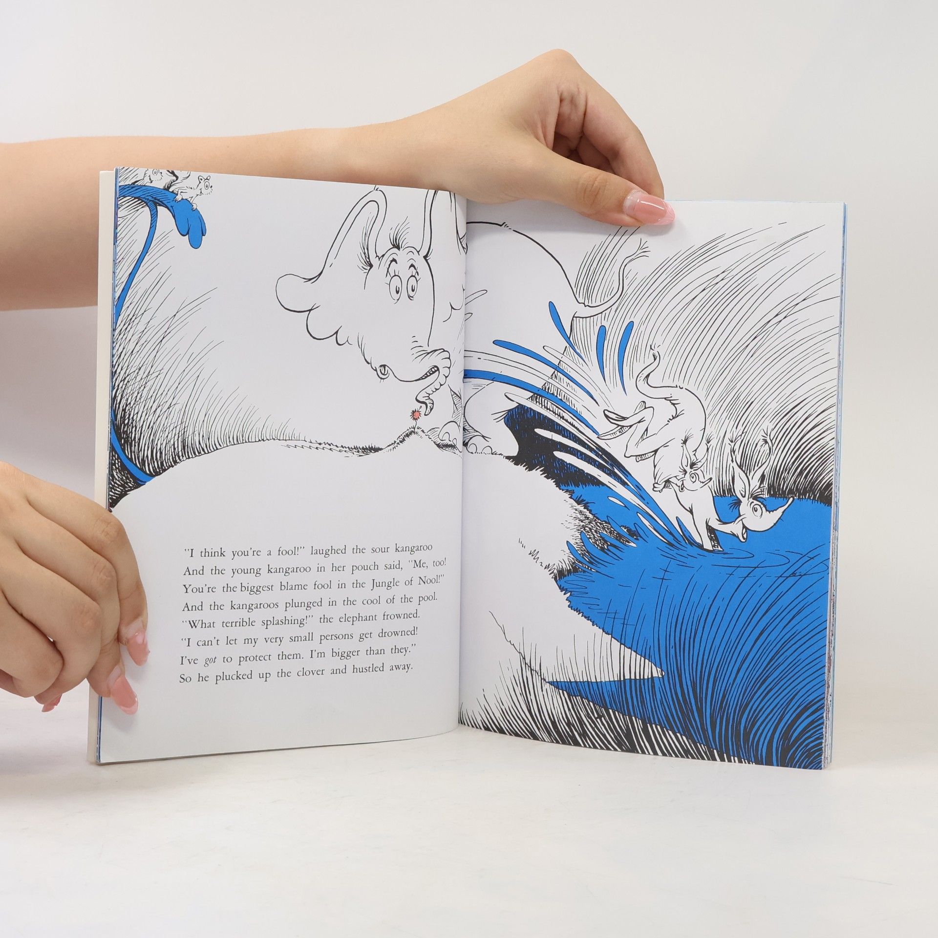 Dr. Seuss Horton Hears A Who!