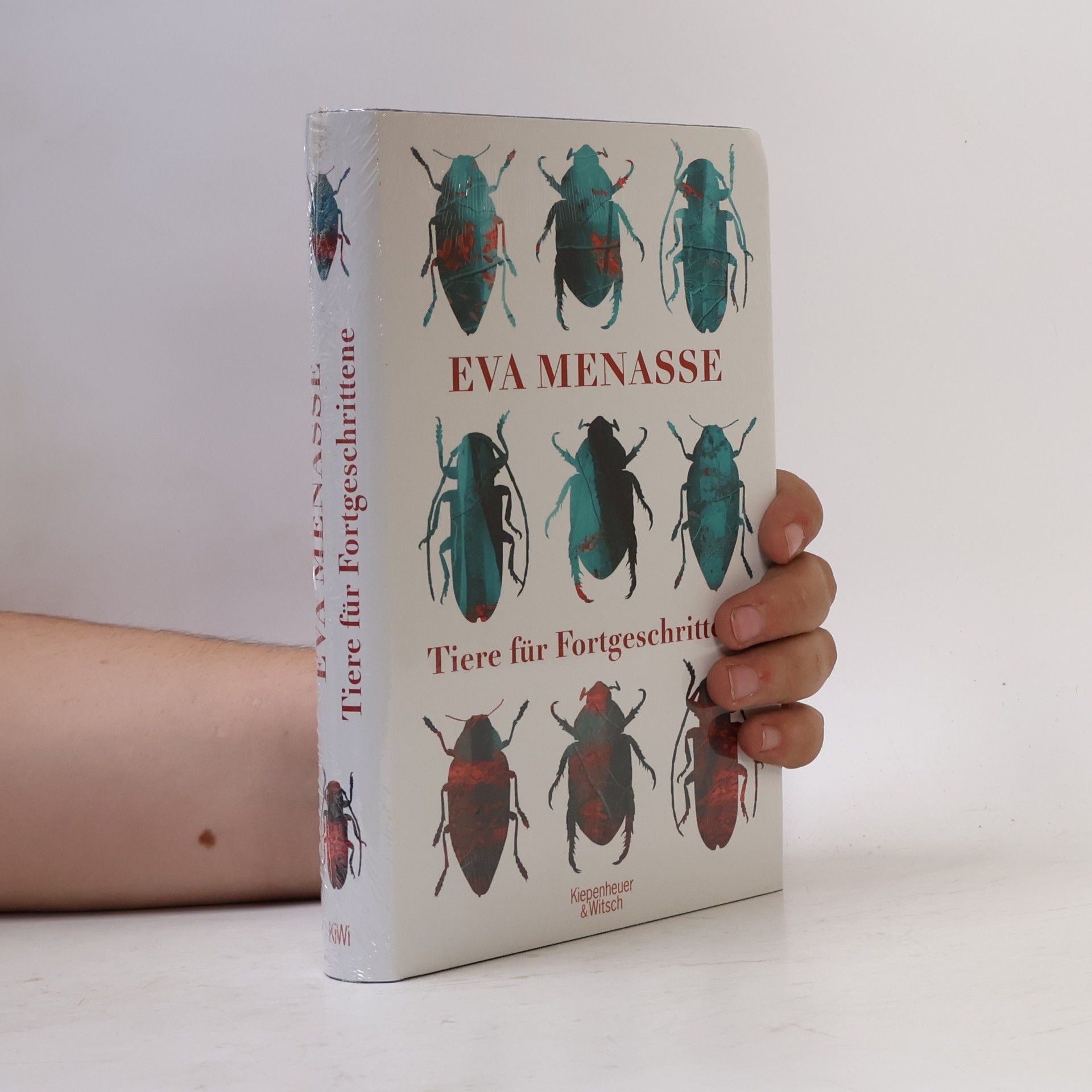 Eva Menasse Tiere für Fortgeschrittene