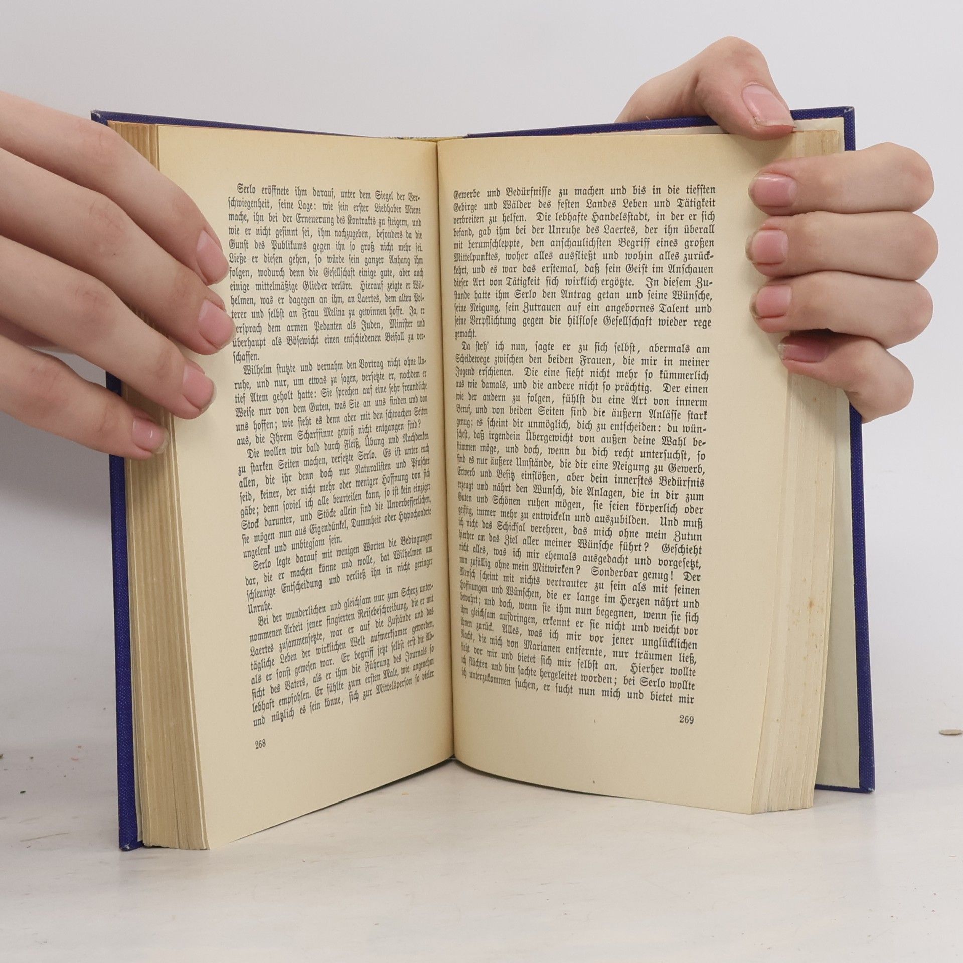 Johann Wolfgang von Goethe Goethes Werke. Wilhelm Meisters Lehrjahre. Buch 1-6