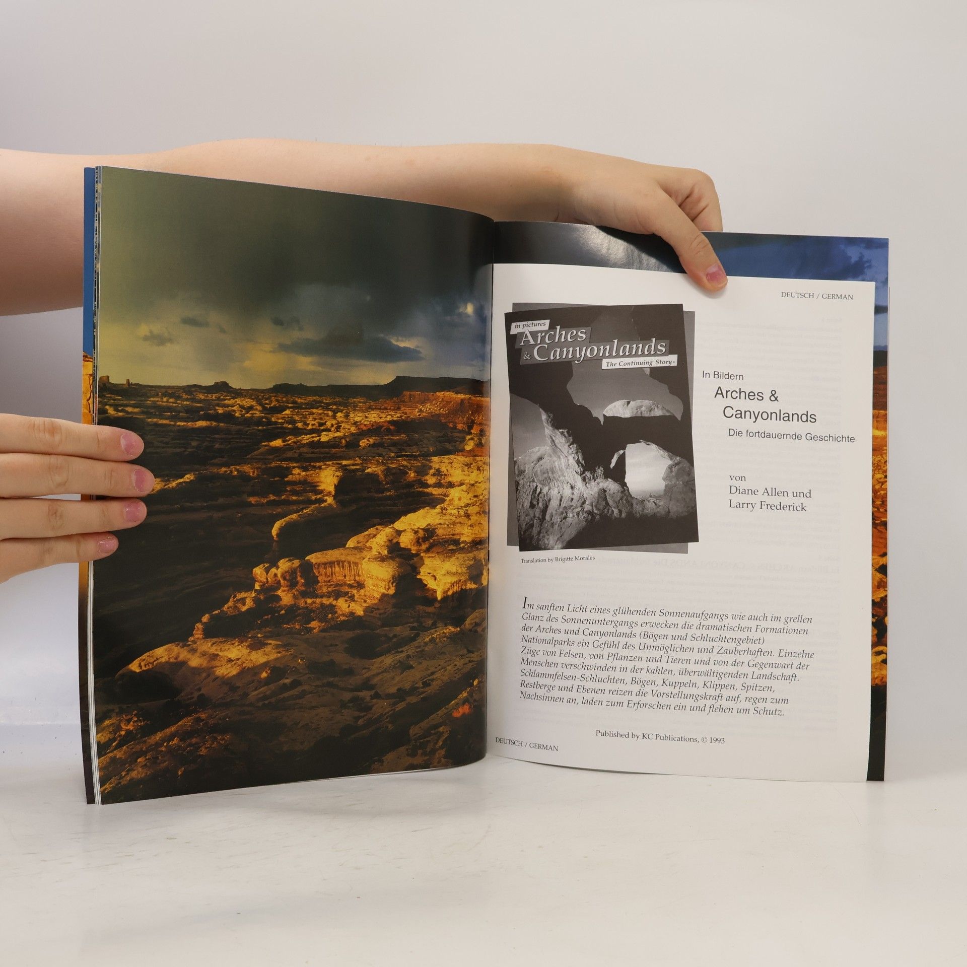 Diane Allen Arches & Canyonlands