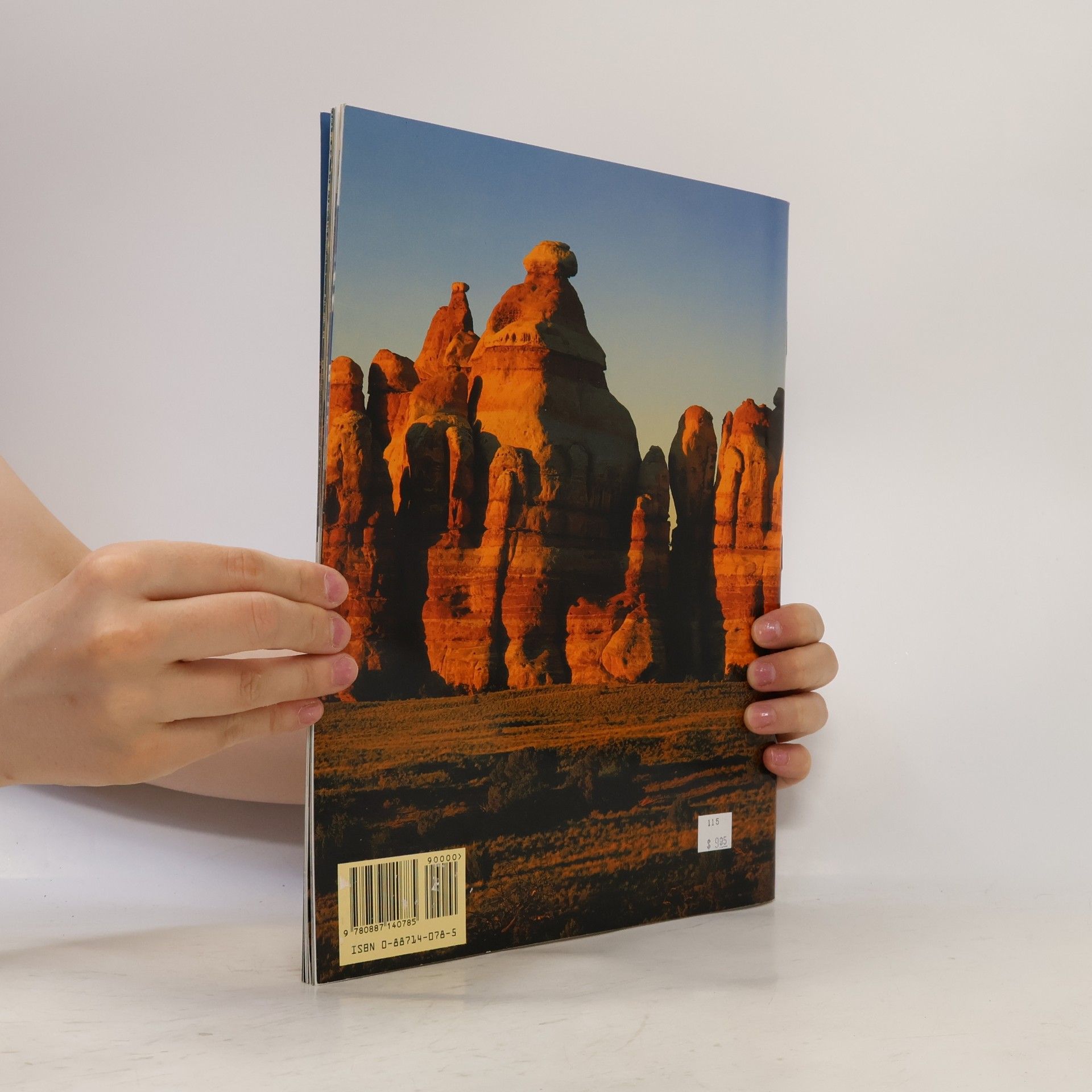 Diane Allen Arches & Canyonlands