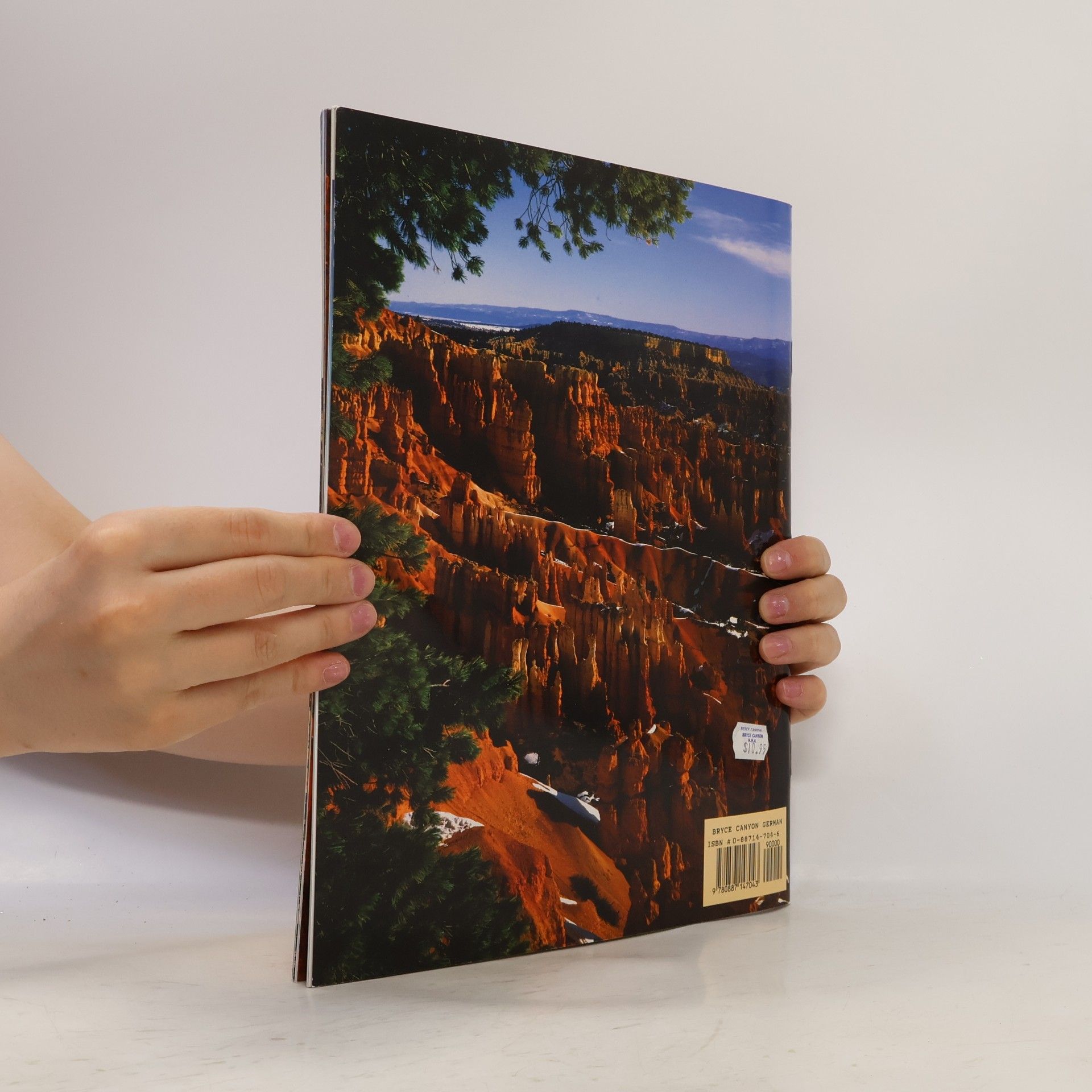 Susan Colclazer In Pictures Bryce Canyon