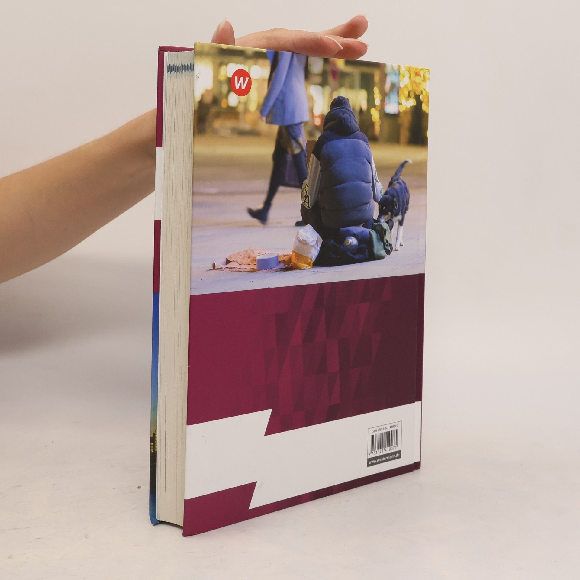 Floren Frintrop Politik-Gesellschaft-Wirtschaft - Sozialwissenschaften 2. Arbeitsbuch 2