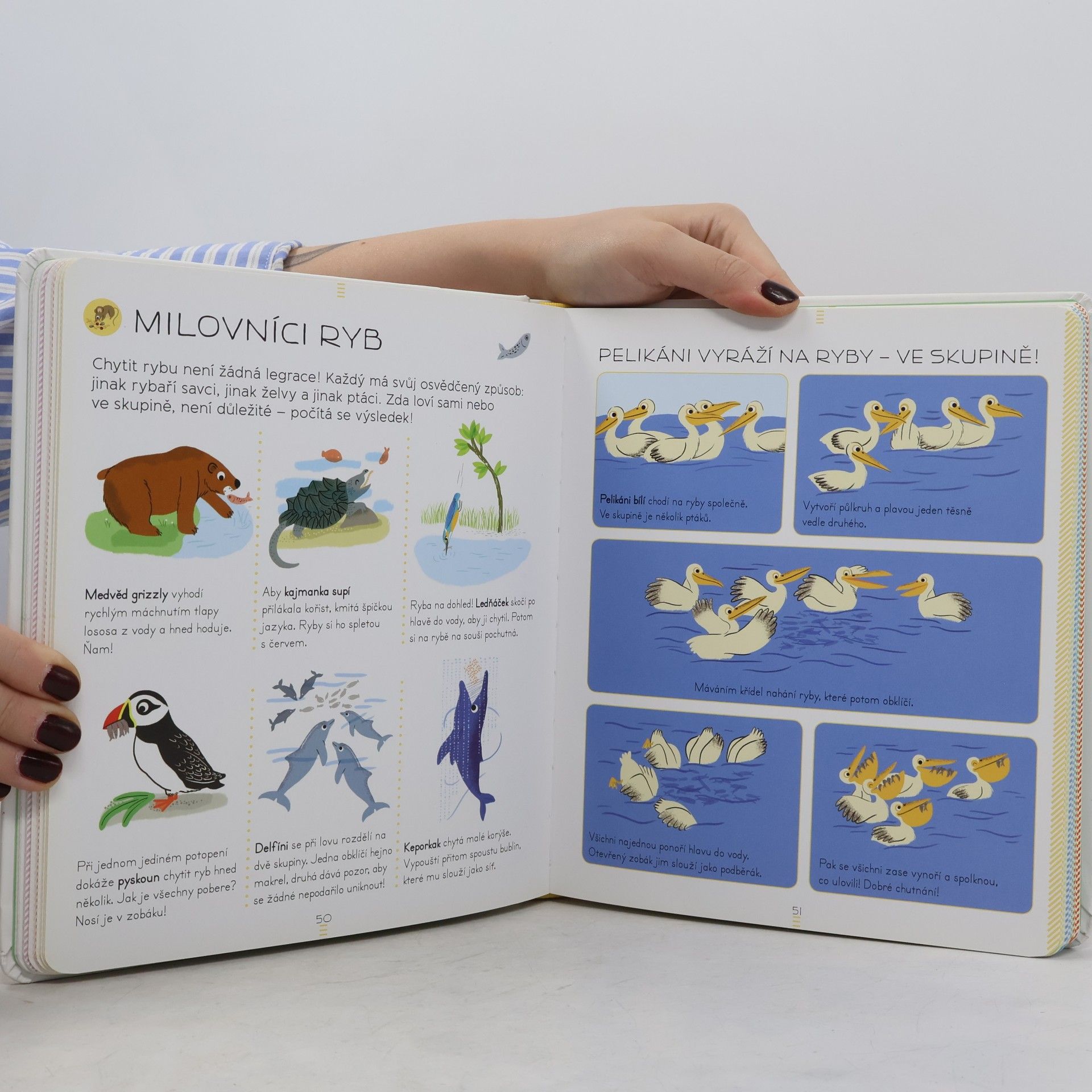 Sylvie Bézuel Zvířata: Encyklopedie Larousse