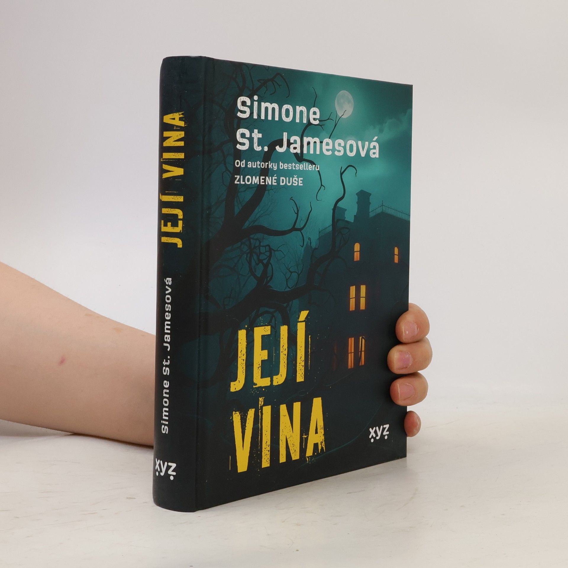 Simone St. James Její vina