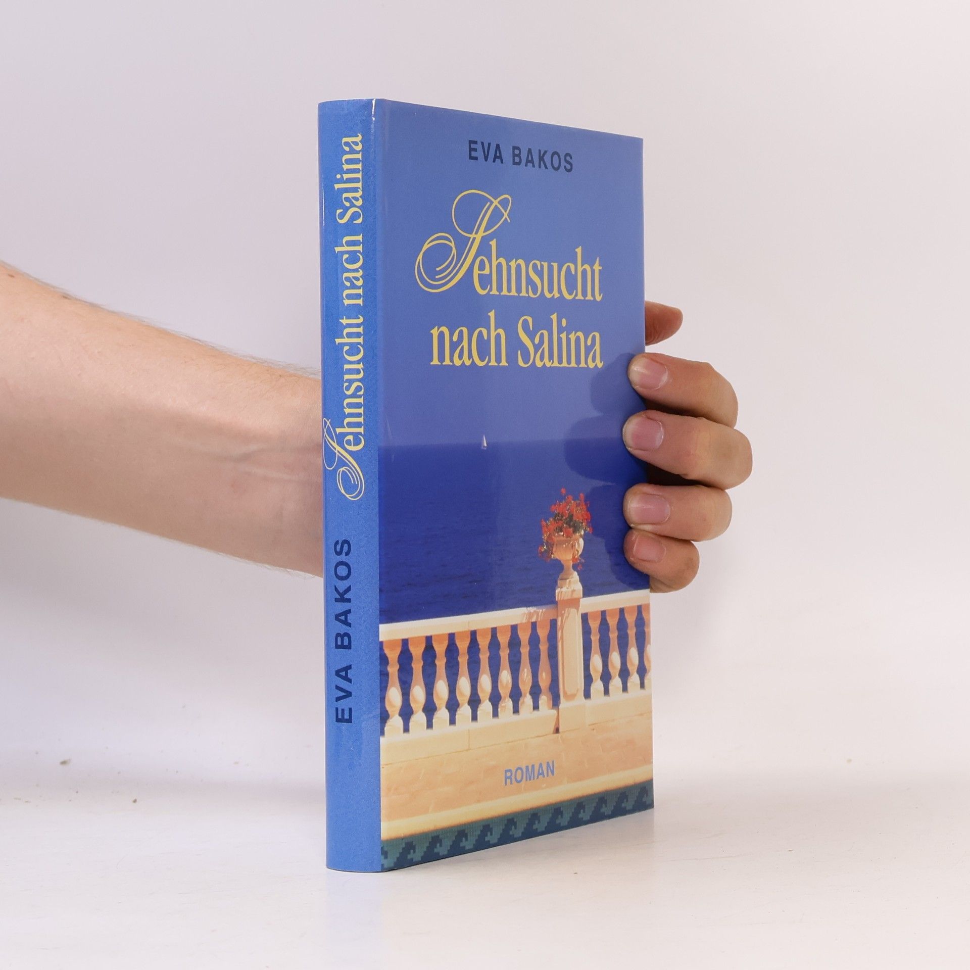 Eva Bakos Sehnsucht nach Salina