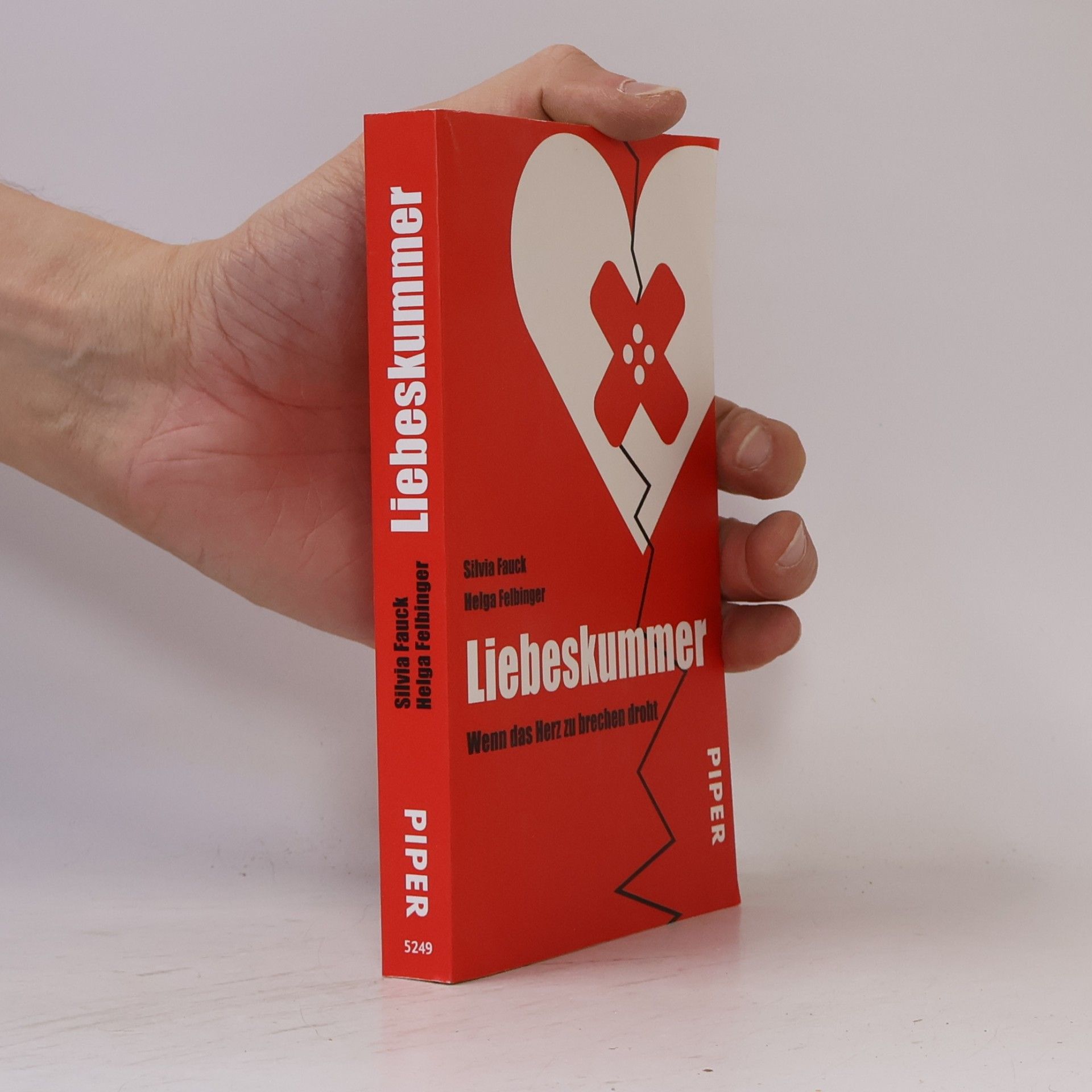 Silvia Fauck Liebeskummer