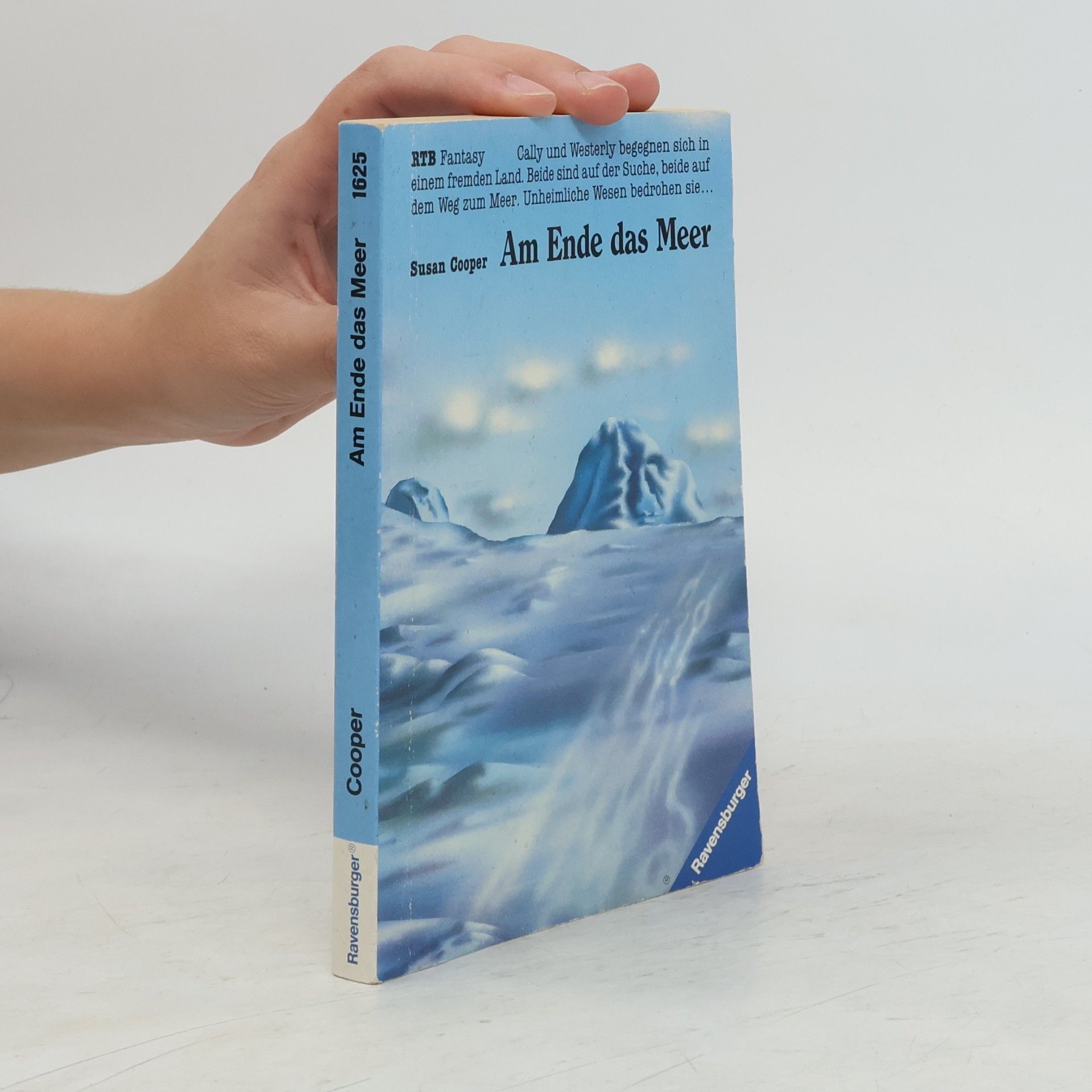 Susan Cooper Am Ende das Meer.