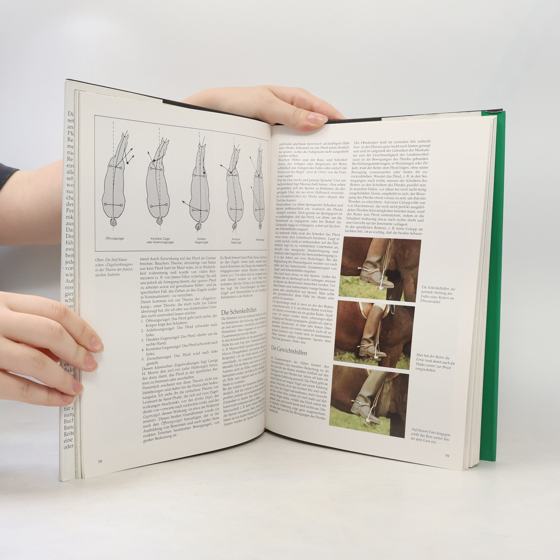 Luciano De Maria Das grosse Buch vom Reiten