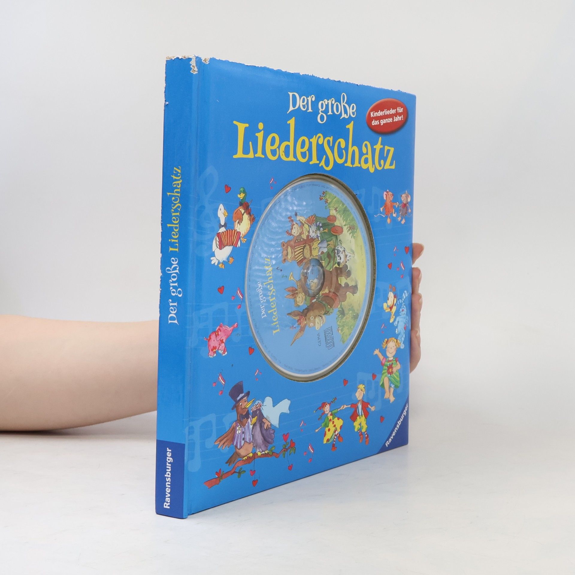 Collectif d'auteurs Der große Liederschatz
