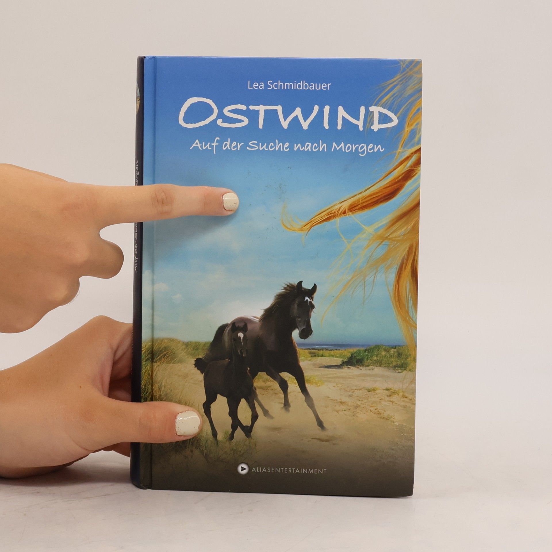 Lea Schmidbauer Ostwind - auf der Suche nach Morgen