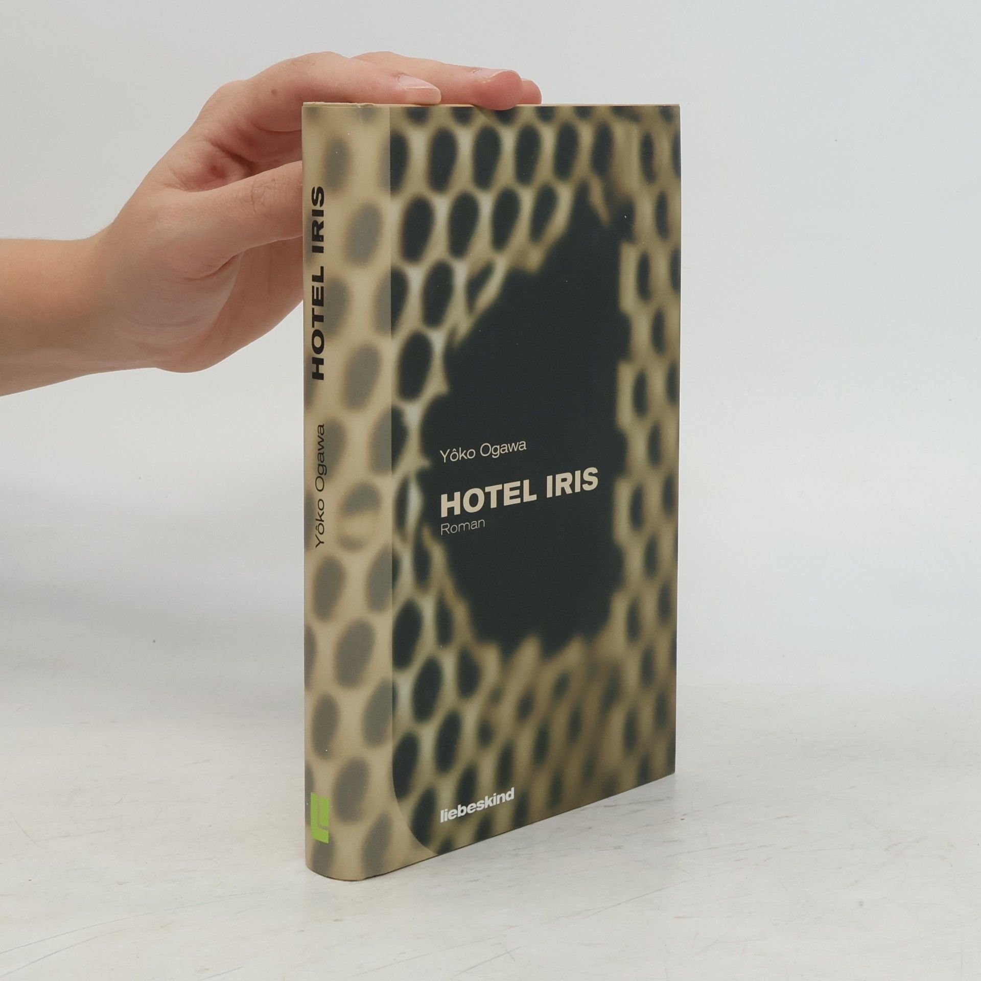 Yoko Ogawa Hotel Iris