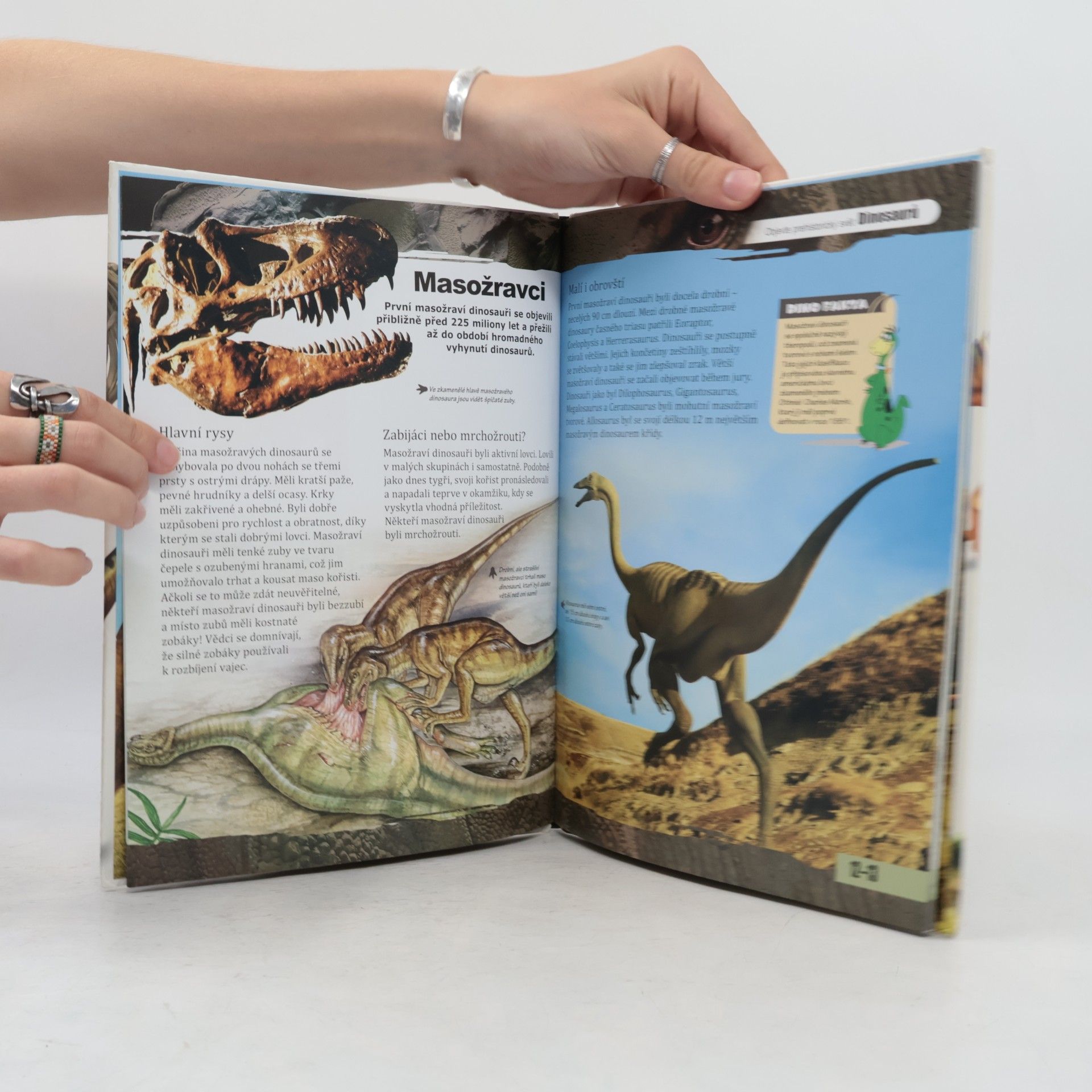 Kolektív autorov Nové obzory - Dinosauři: Dobrodružství ve světě dinosaurů Dinosauři Objevte prehistorický svět dinosaurů