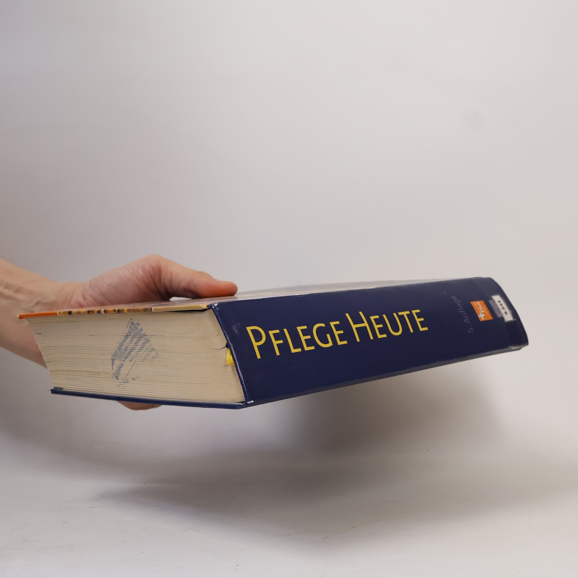 Autores varios Pflege Heute