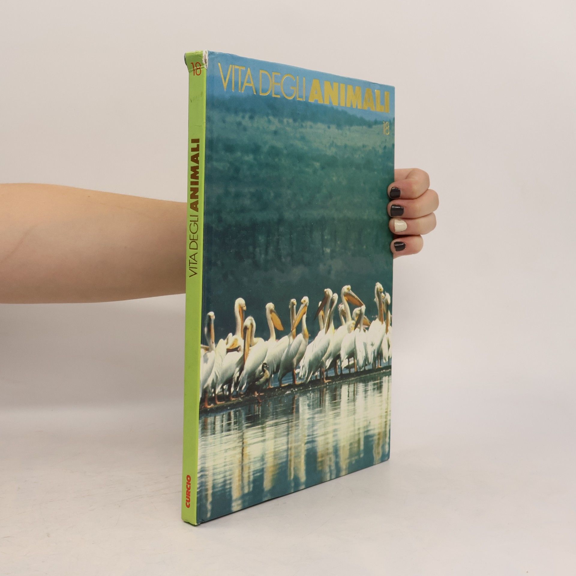Collectif d'auteurs Vita degli animali